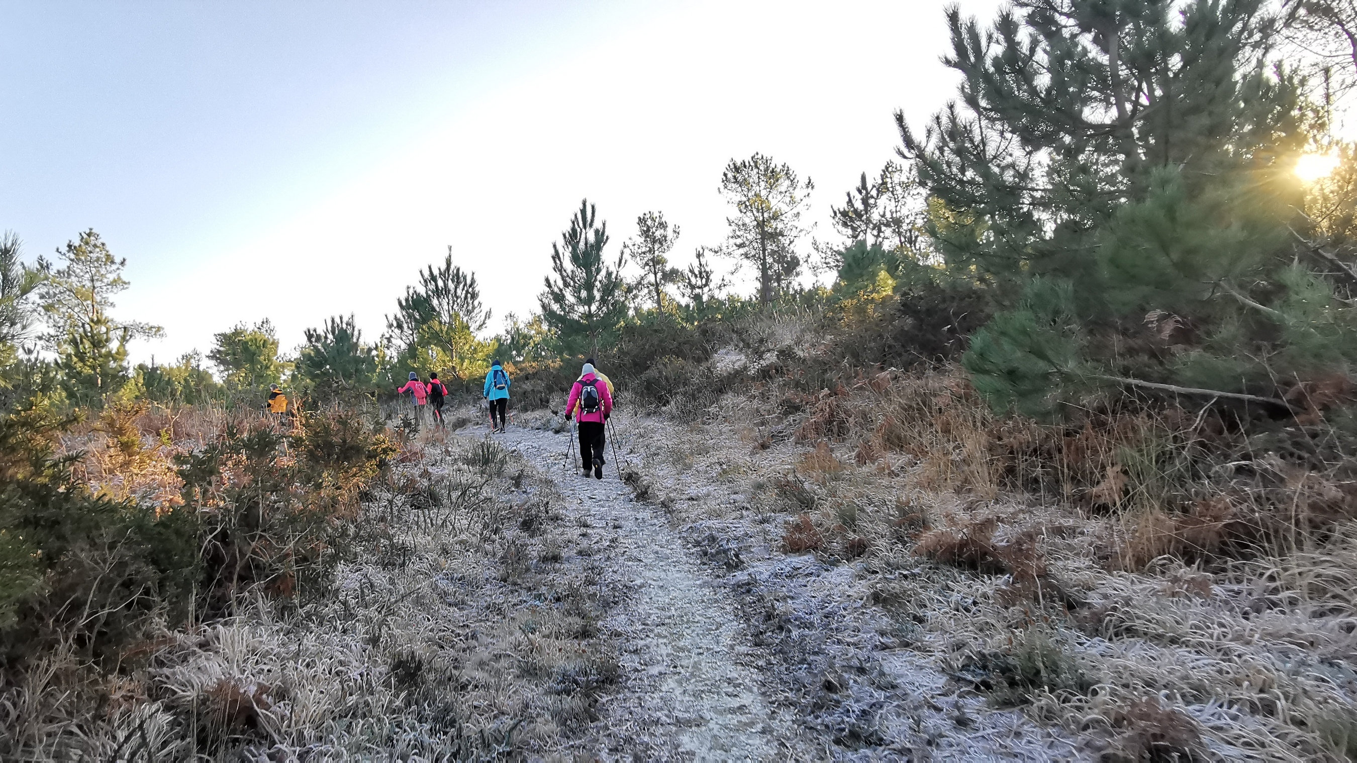 077-IMG_20210110_104825