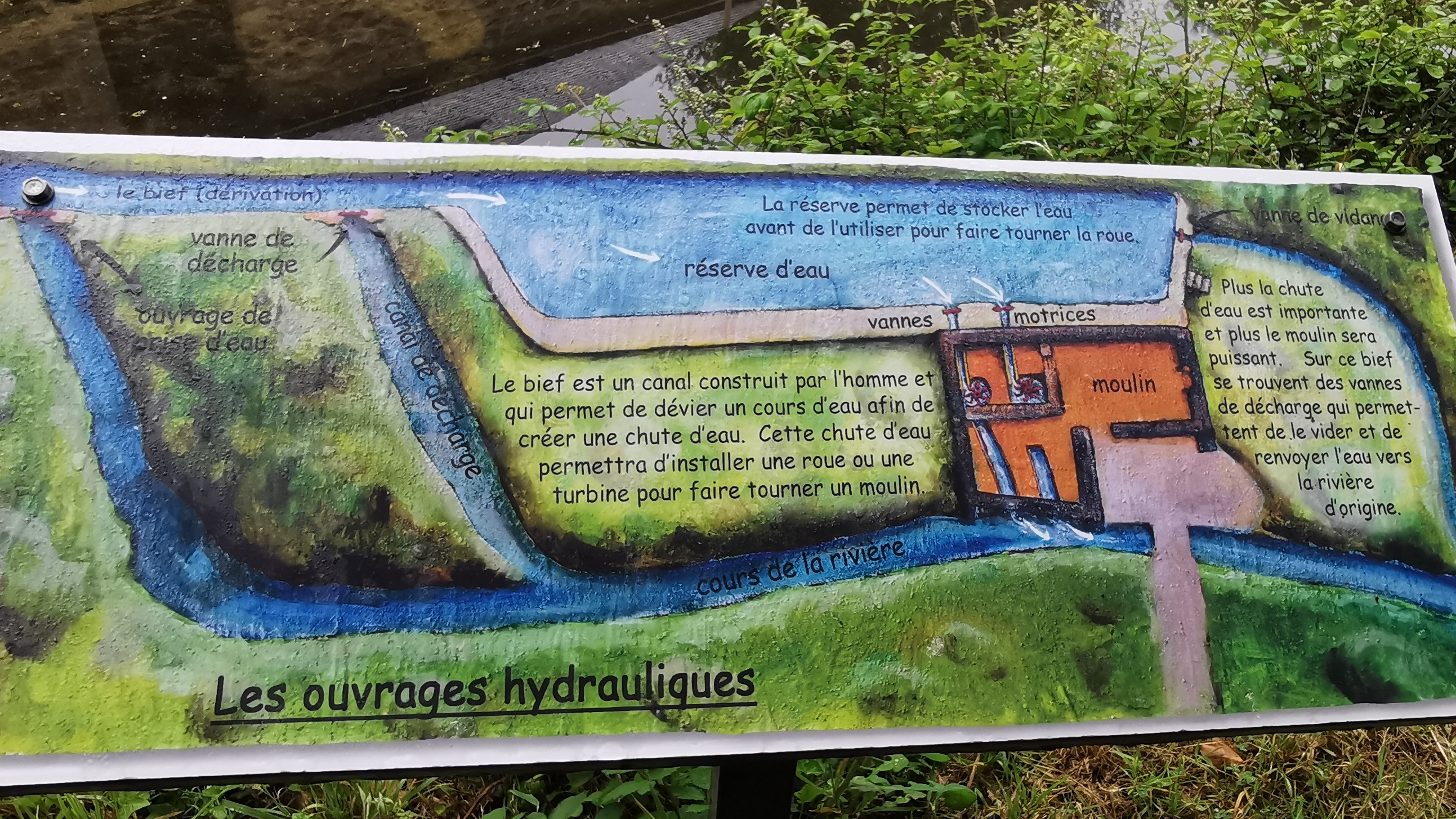 113-IMG_20210620_110340