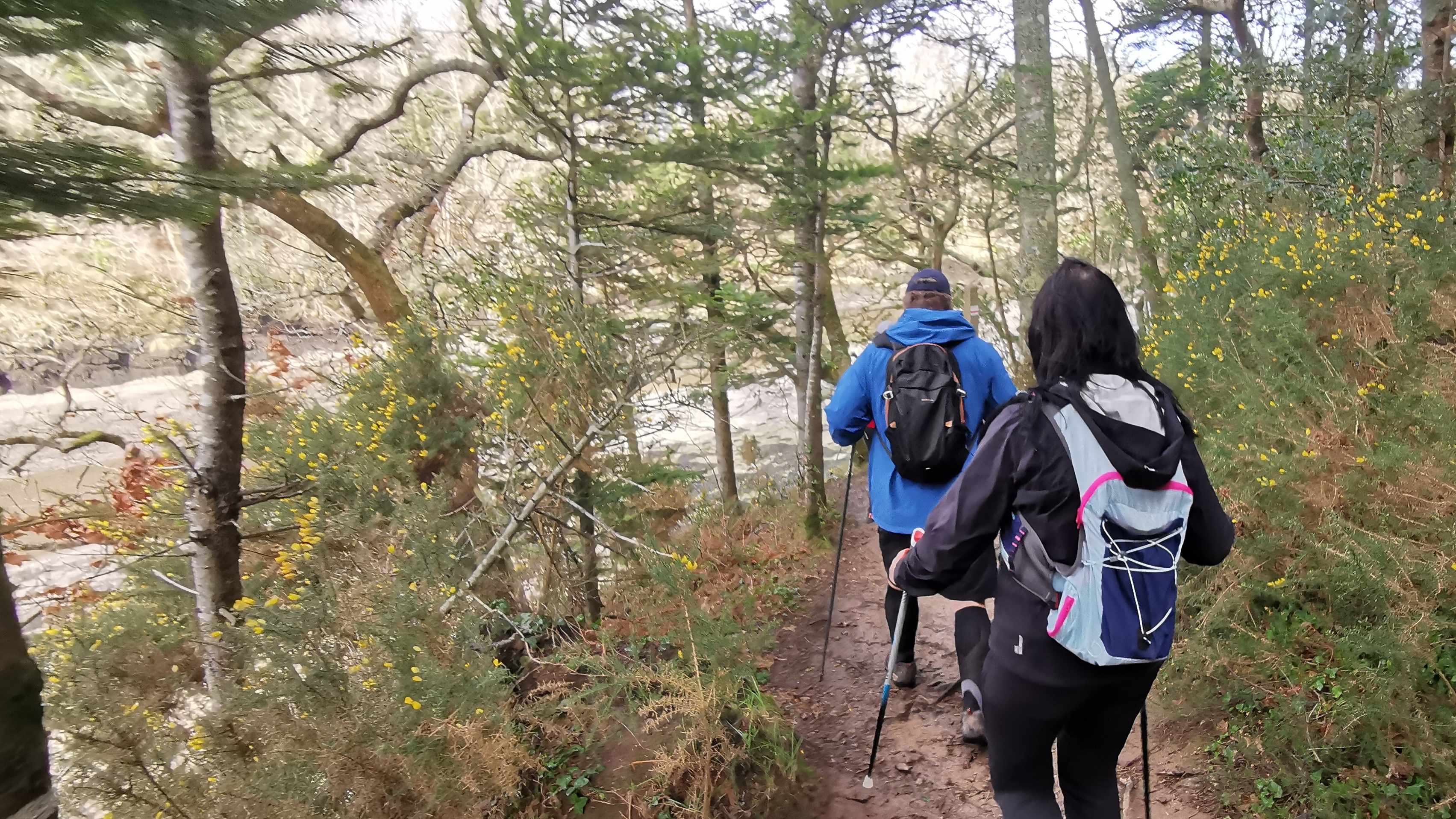 43-IMG_20210311_105811_1