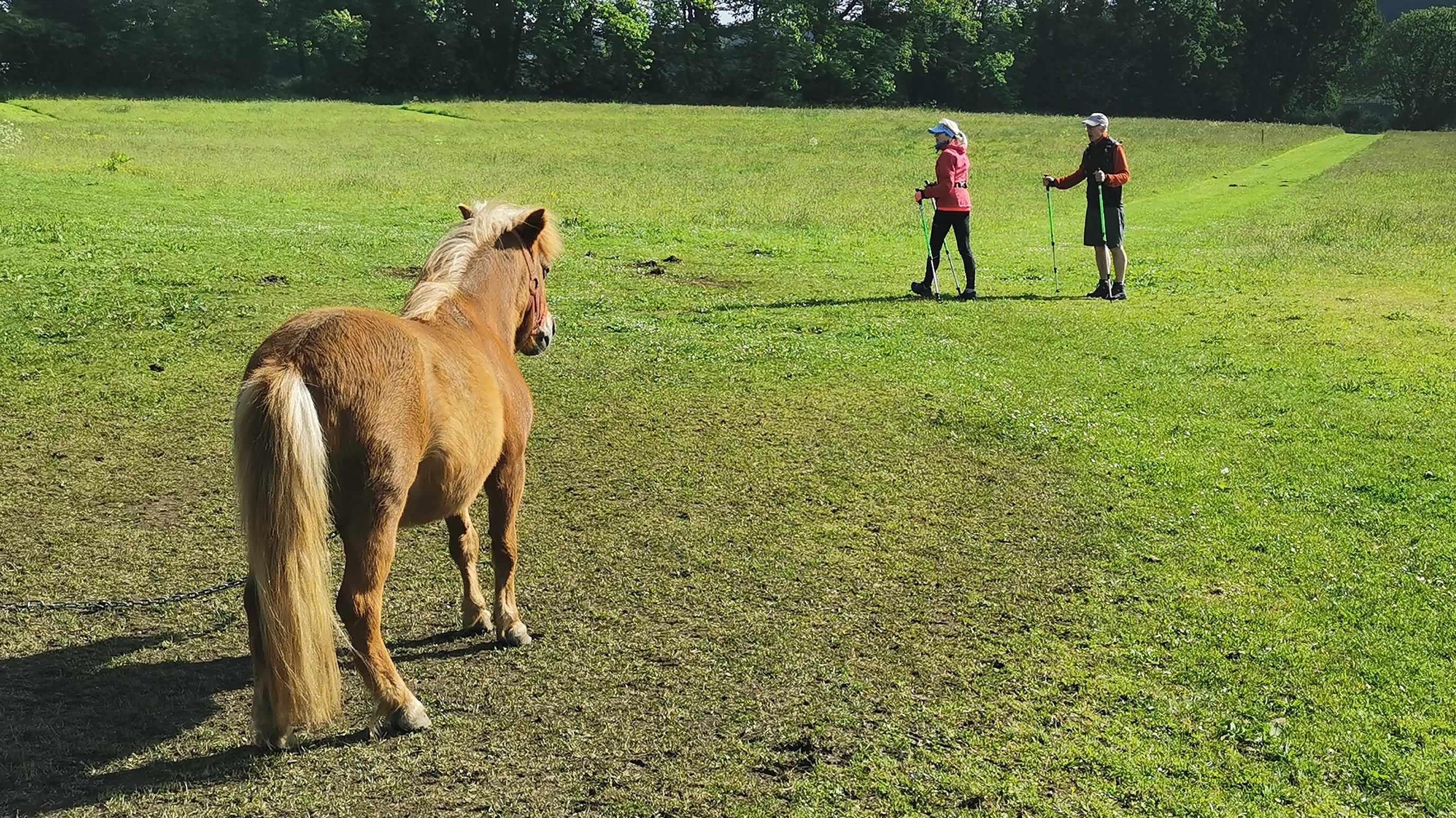 18-IMG_20210525_094802_1