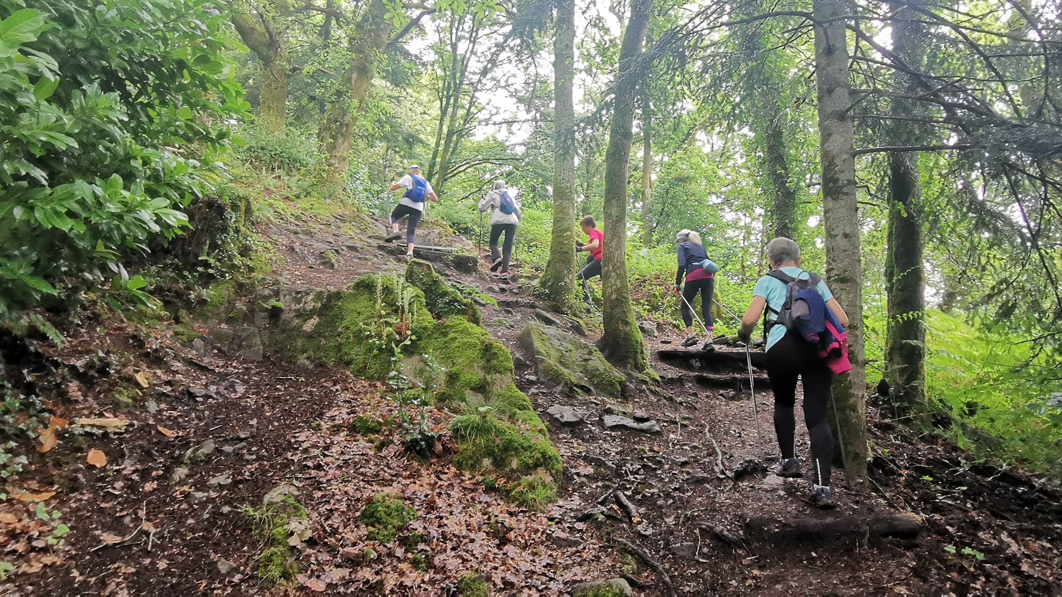 41-IMG_20210617_111113