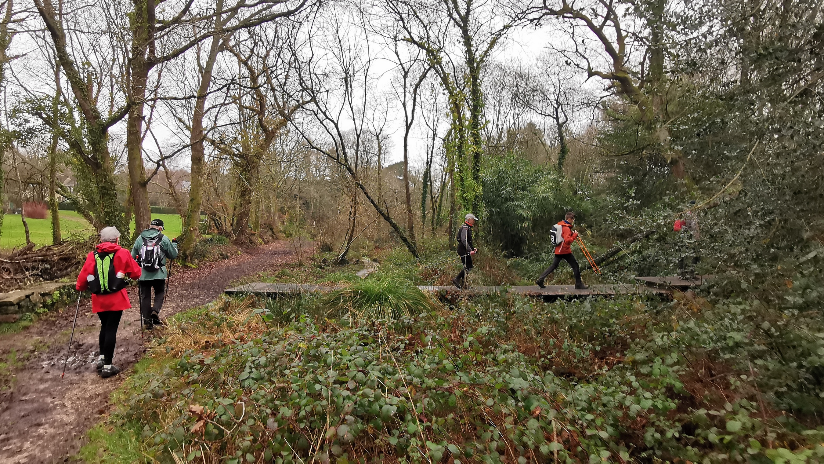 053-IMG_20210220_110817