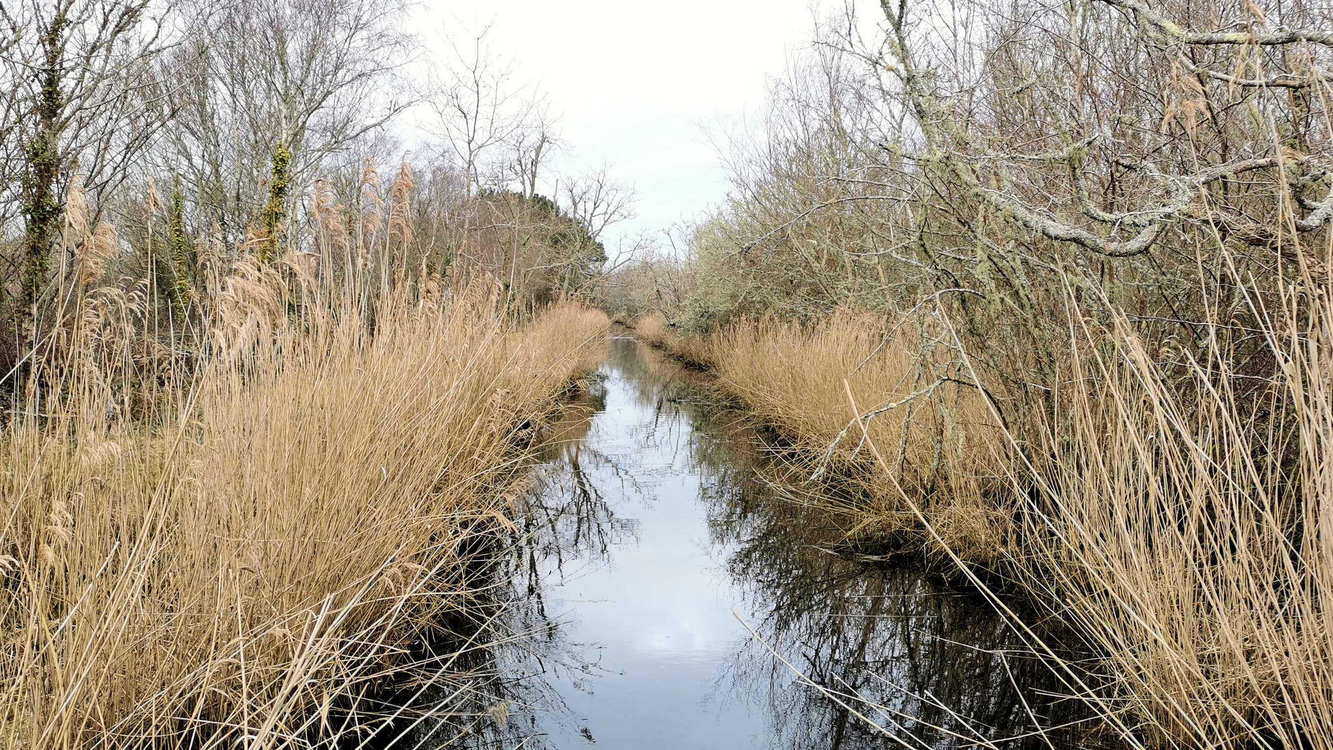 06-IMG_20210208_101306