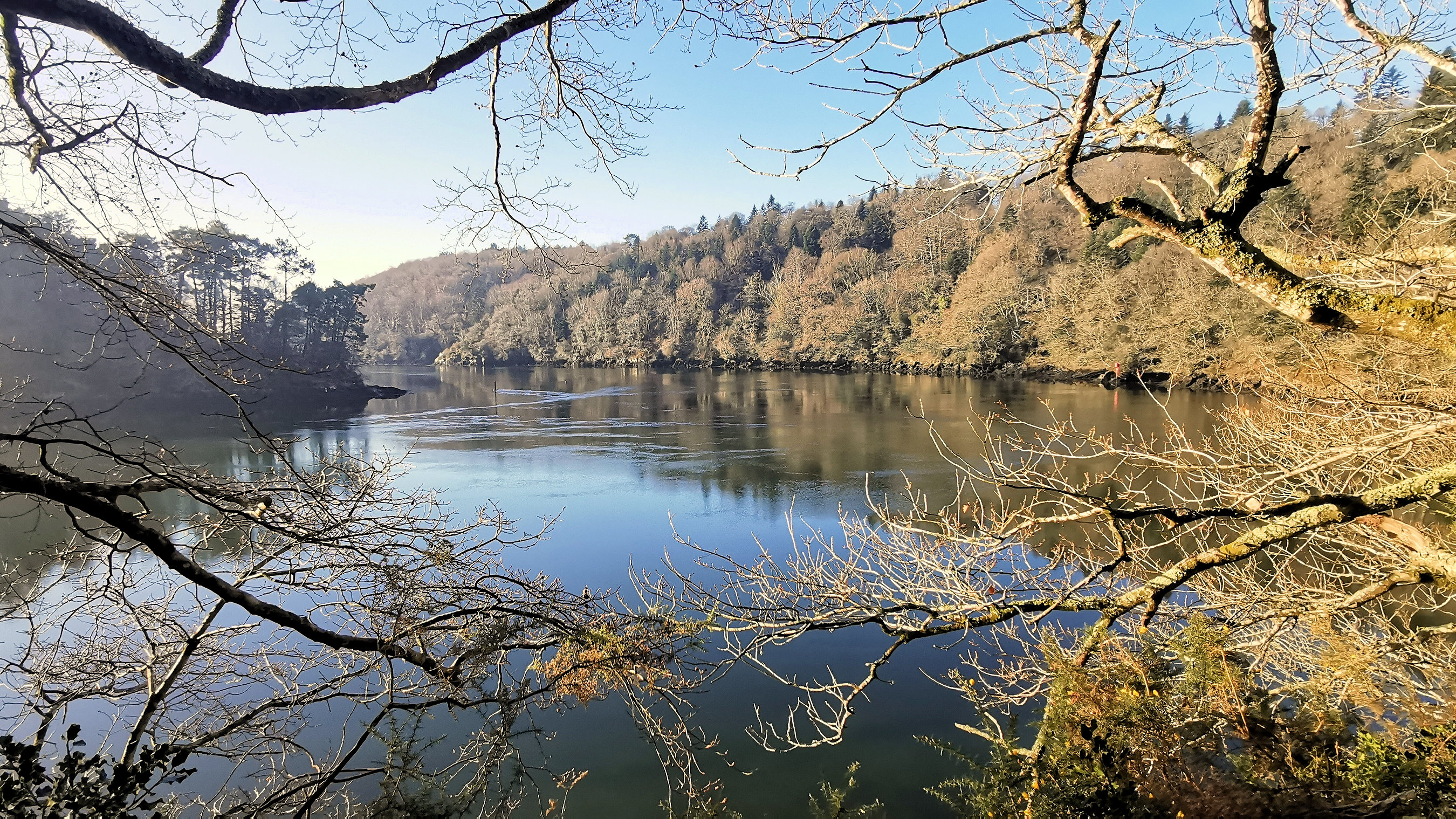 39-IMG_20210109_105606