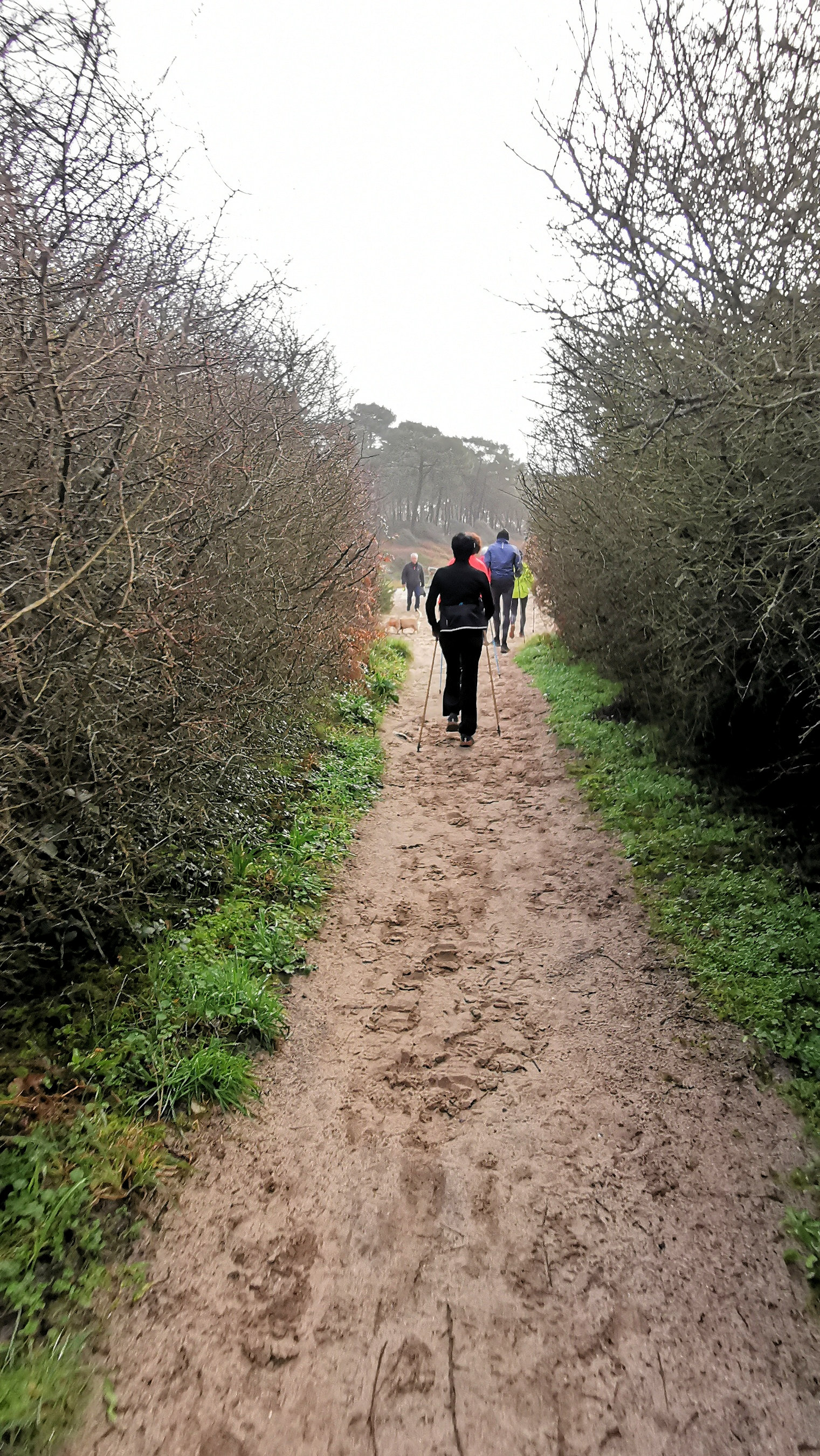 20-IMG_20210131_102111