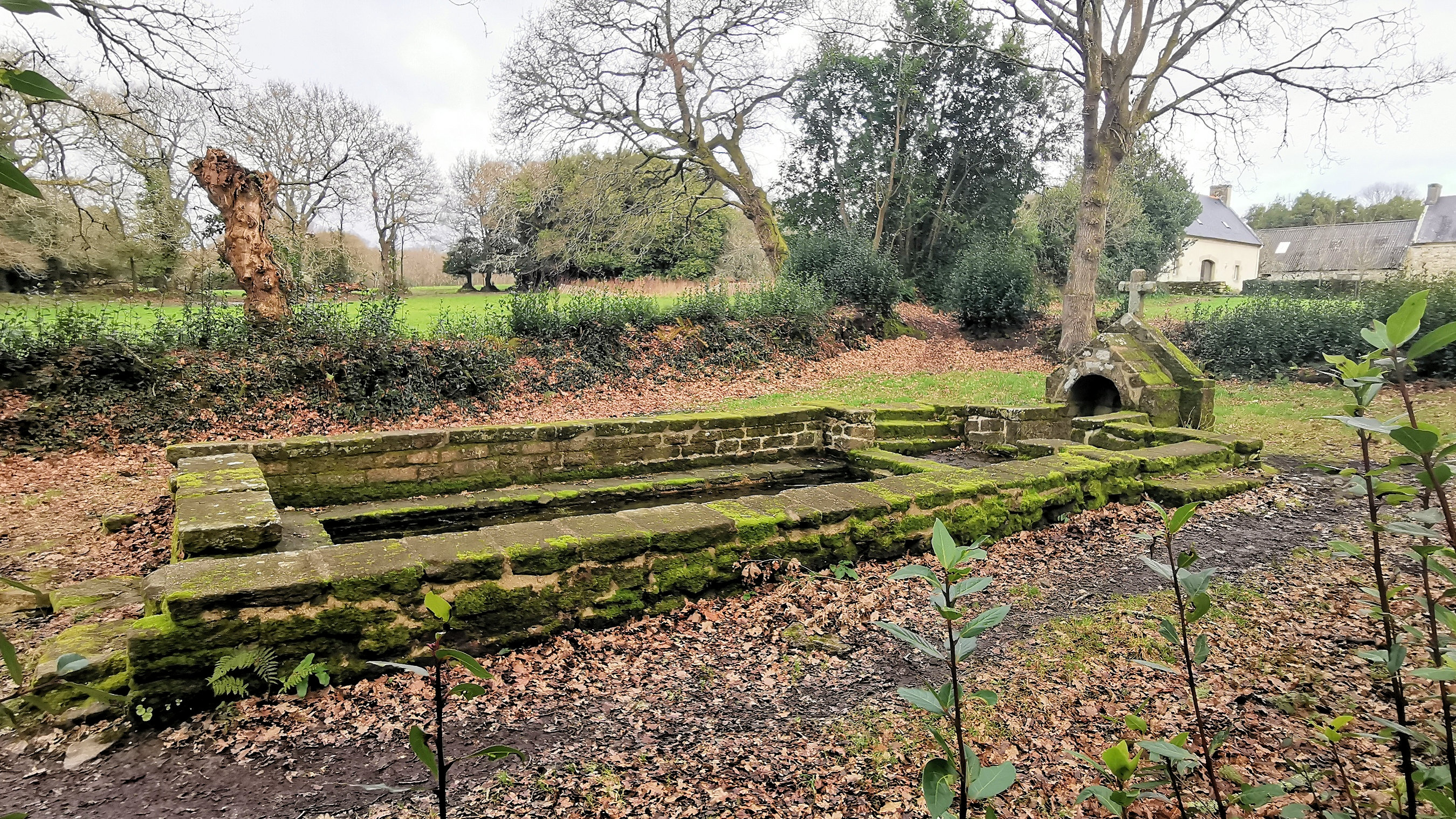 27-IMG_20210118_113617