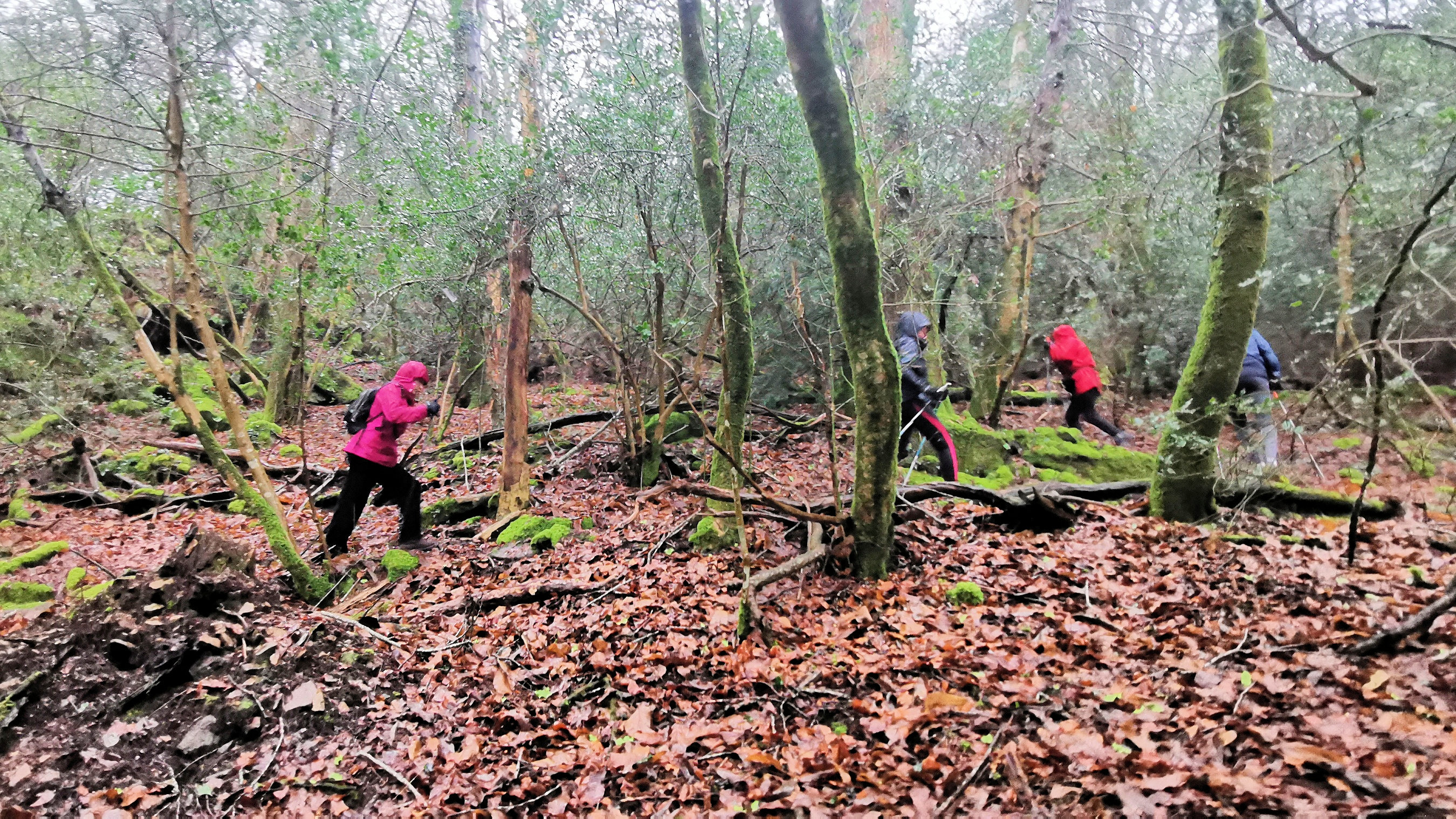 81-IMG_20210121_114246