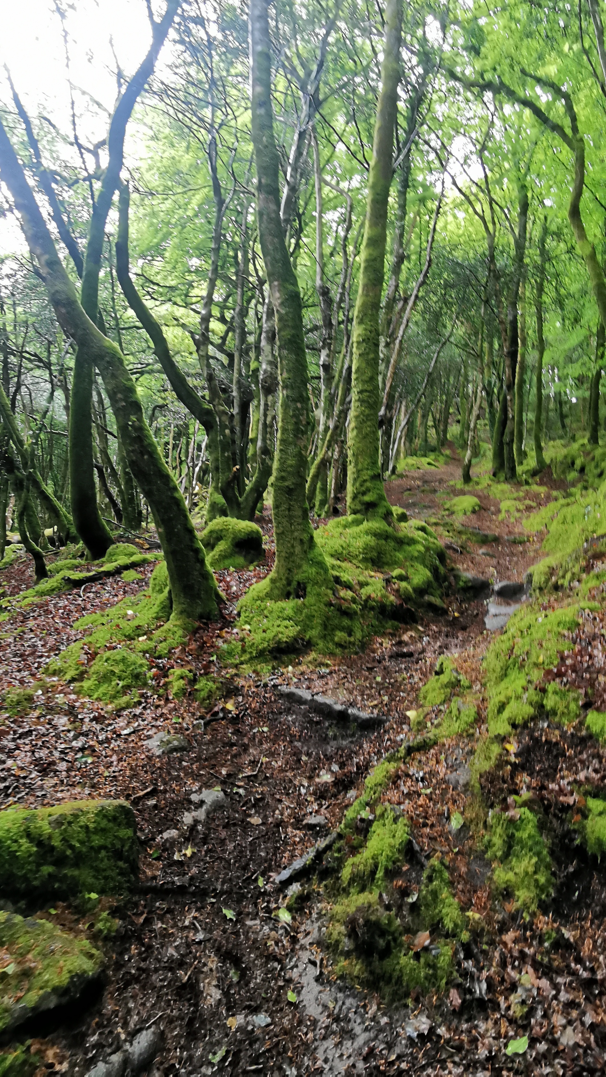 078-IMG_20210513_105358