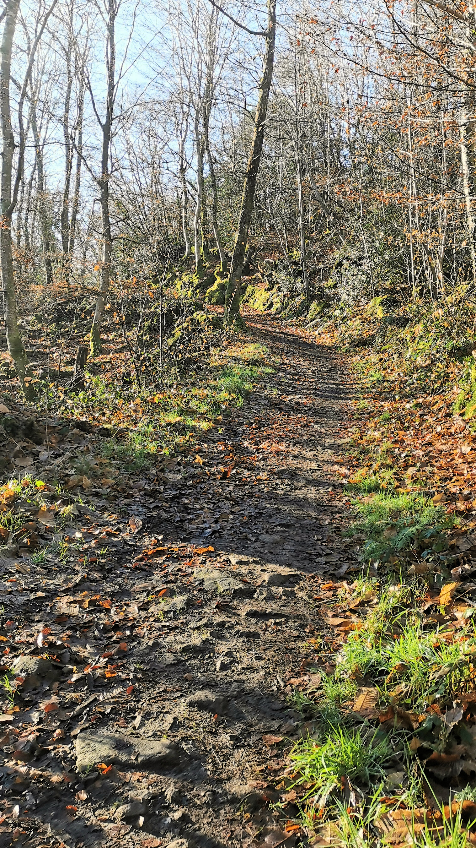 48-IMG_20210109_110750