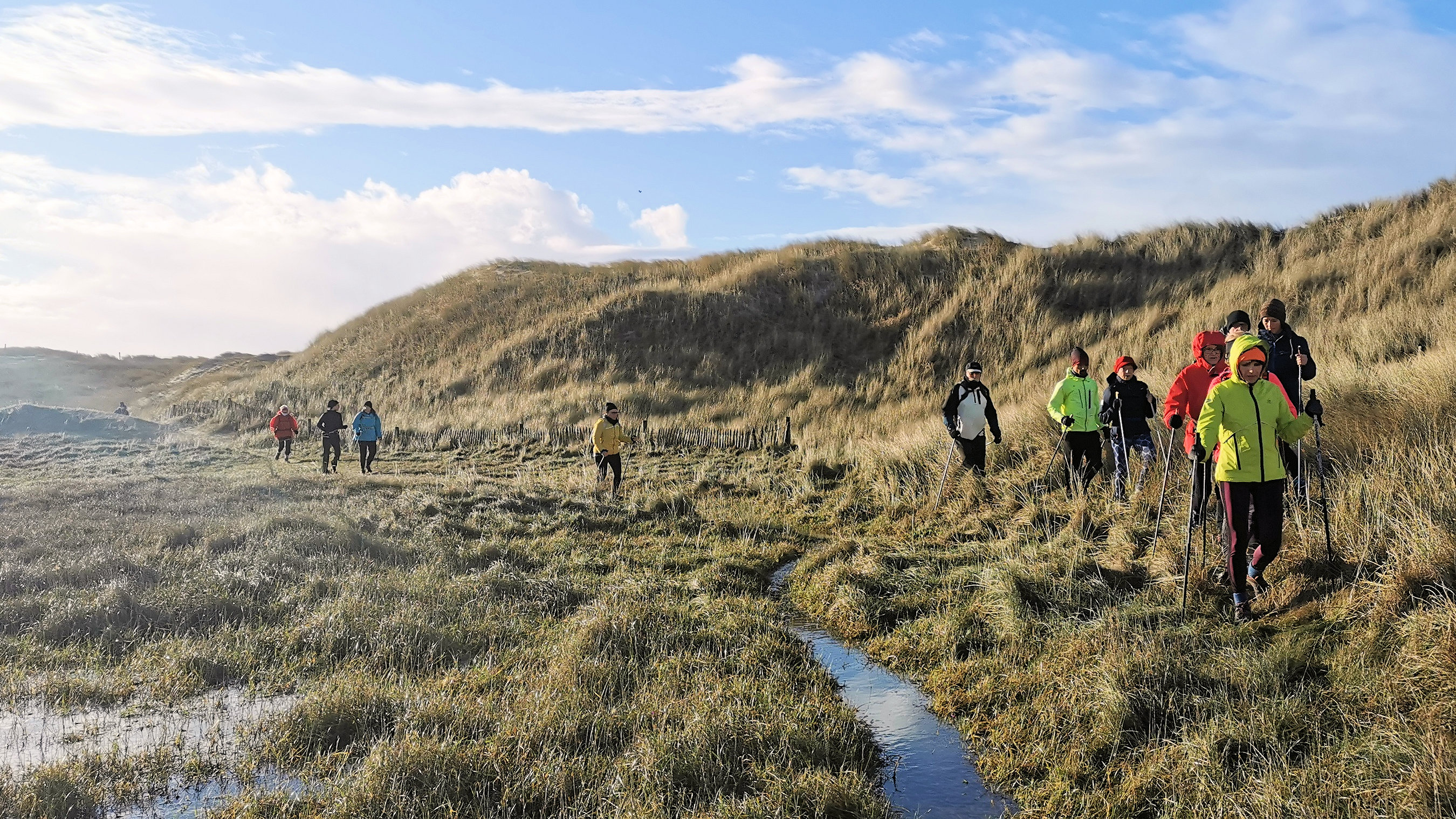 33-IMG_20210124_104301