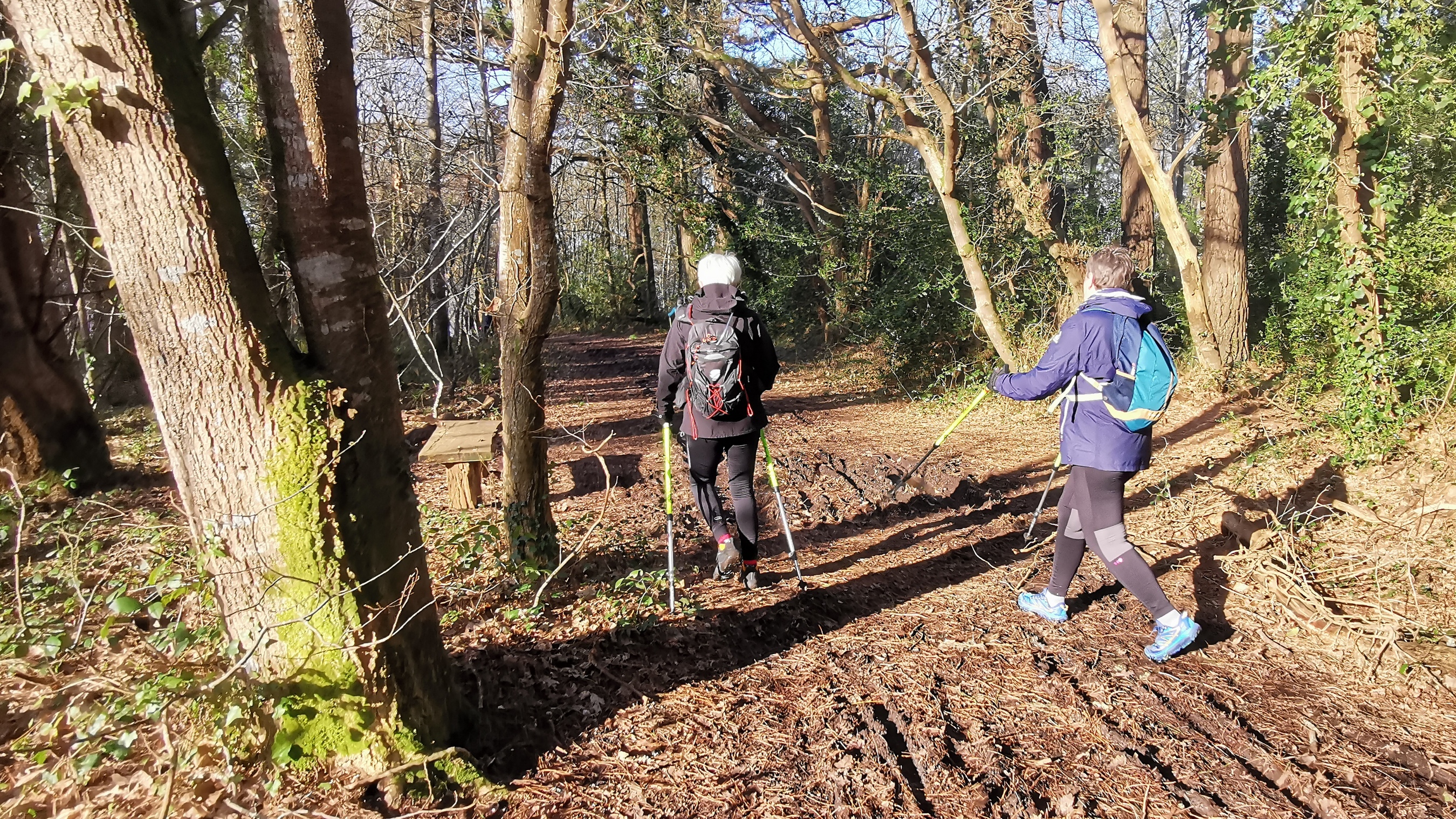 22-IMG_20210223_101958