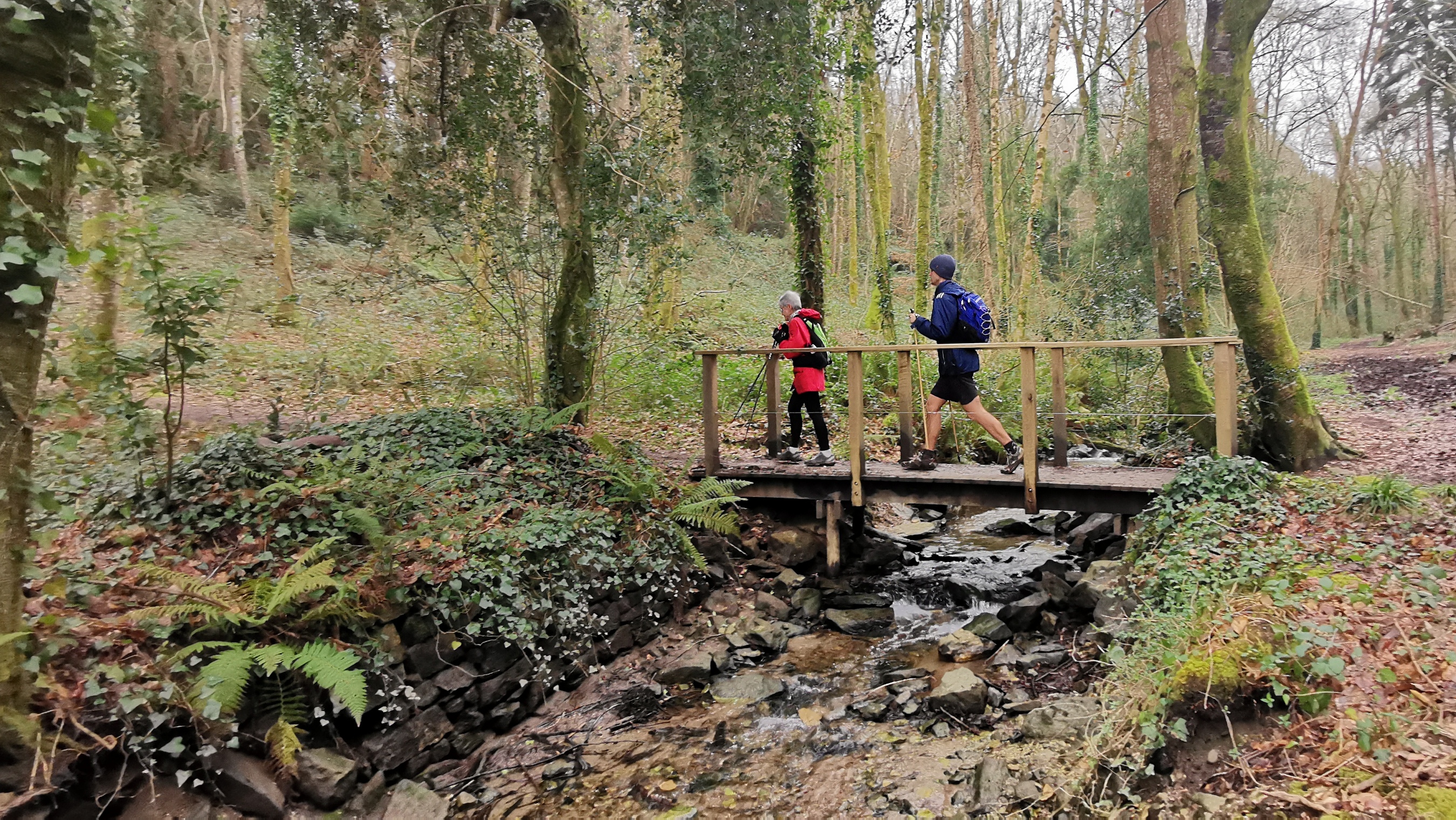 159-IMG_20210220_124523_1