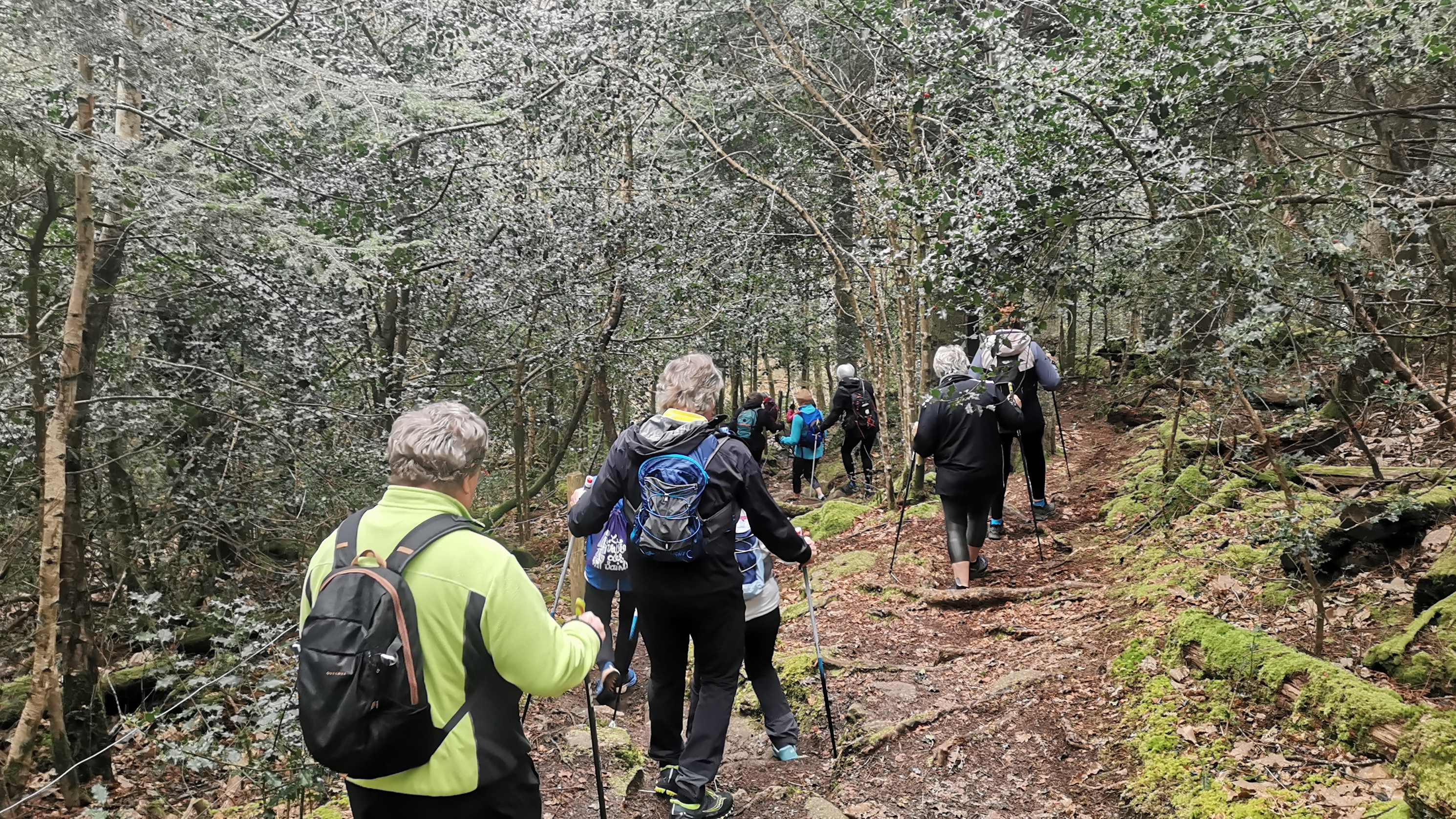 01-IMG_20210304_094637