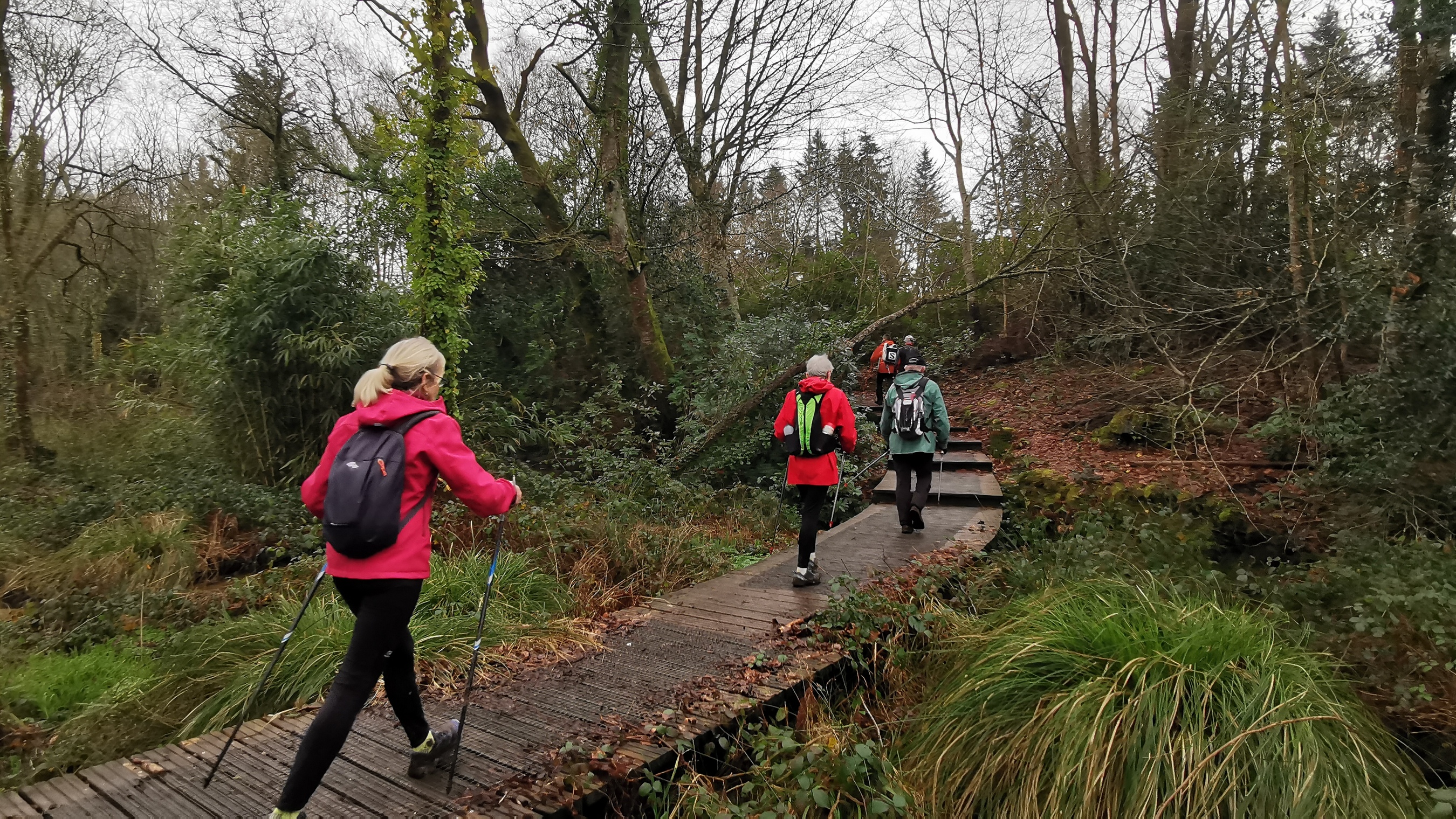 054-IMG_20210220_110823_1