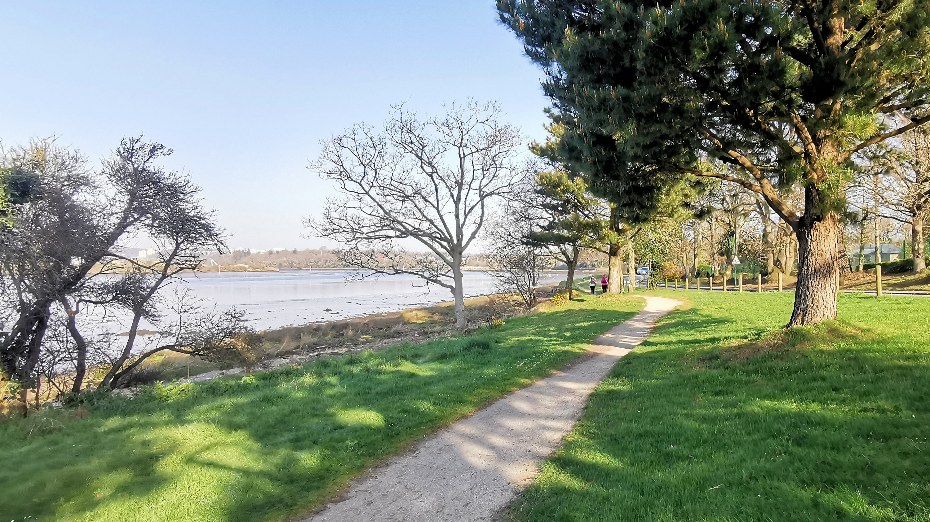 21-IMG_20210301_103553