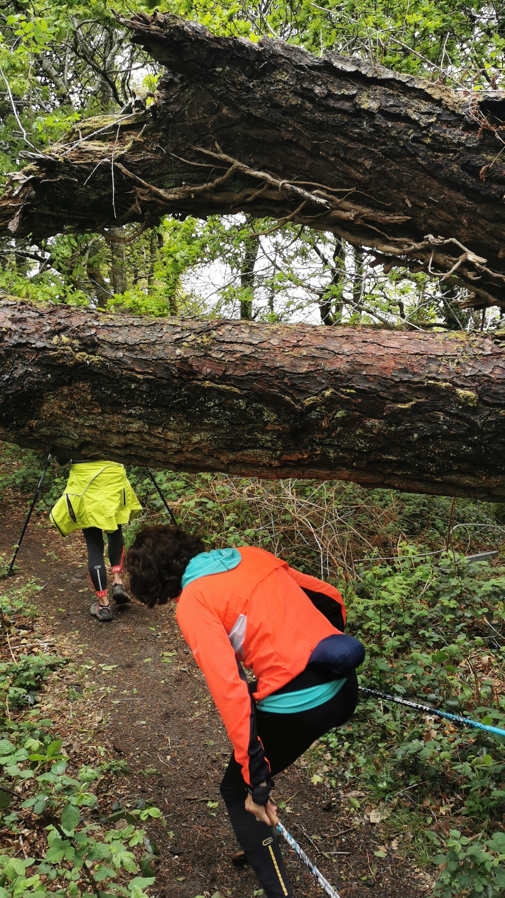 63-IMG_20210508_112523