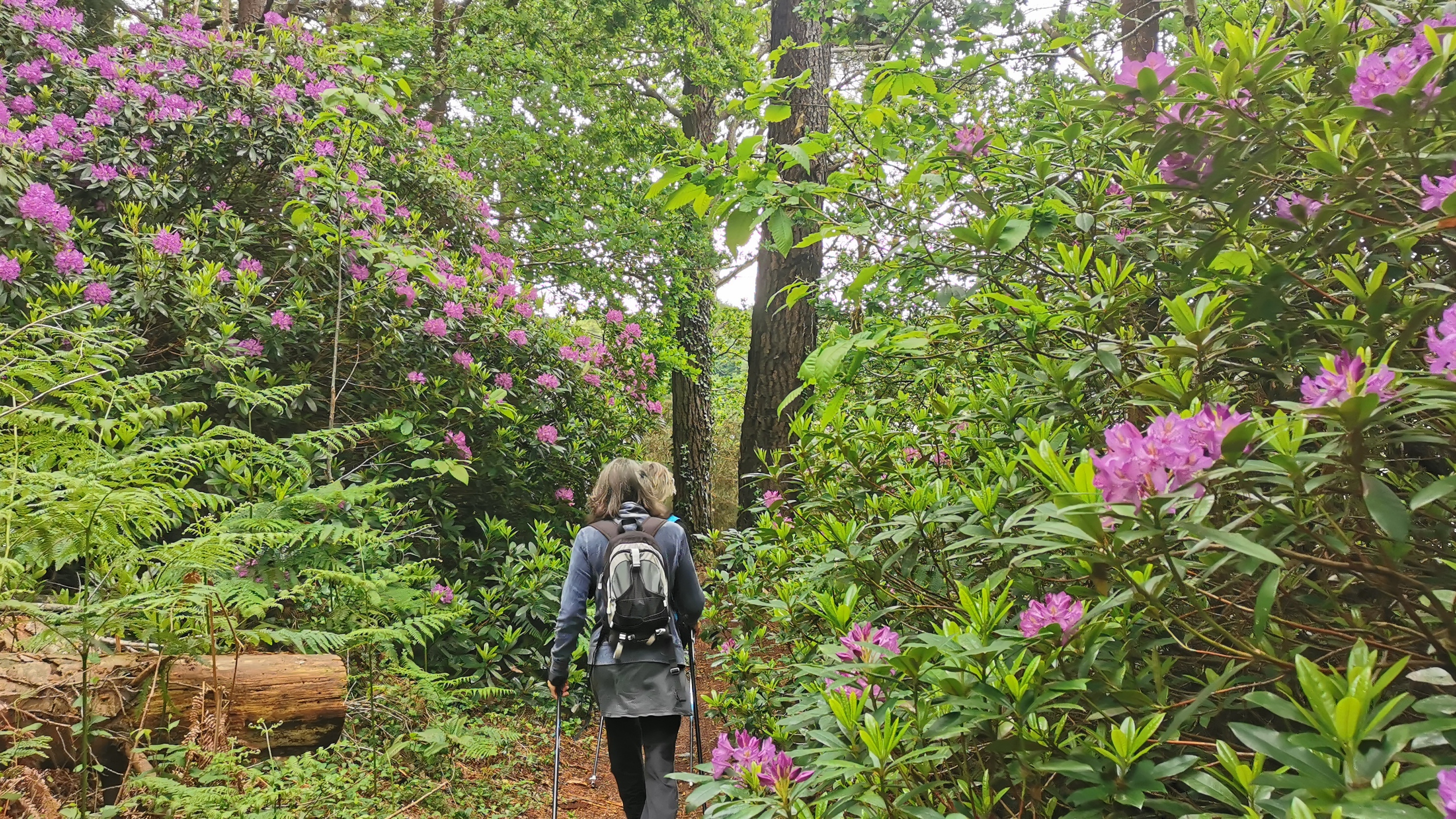 07-IMG_20210527_095427_1