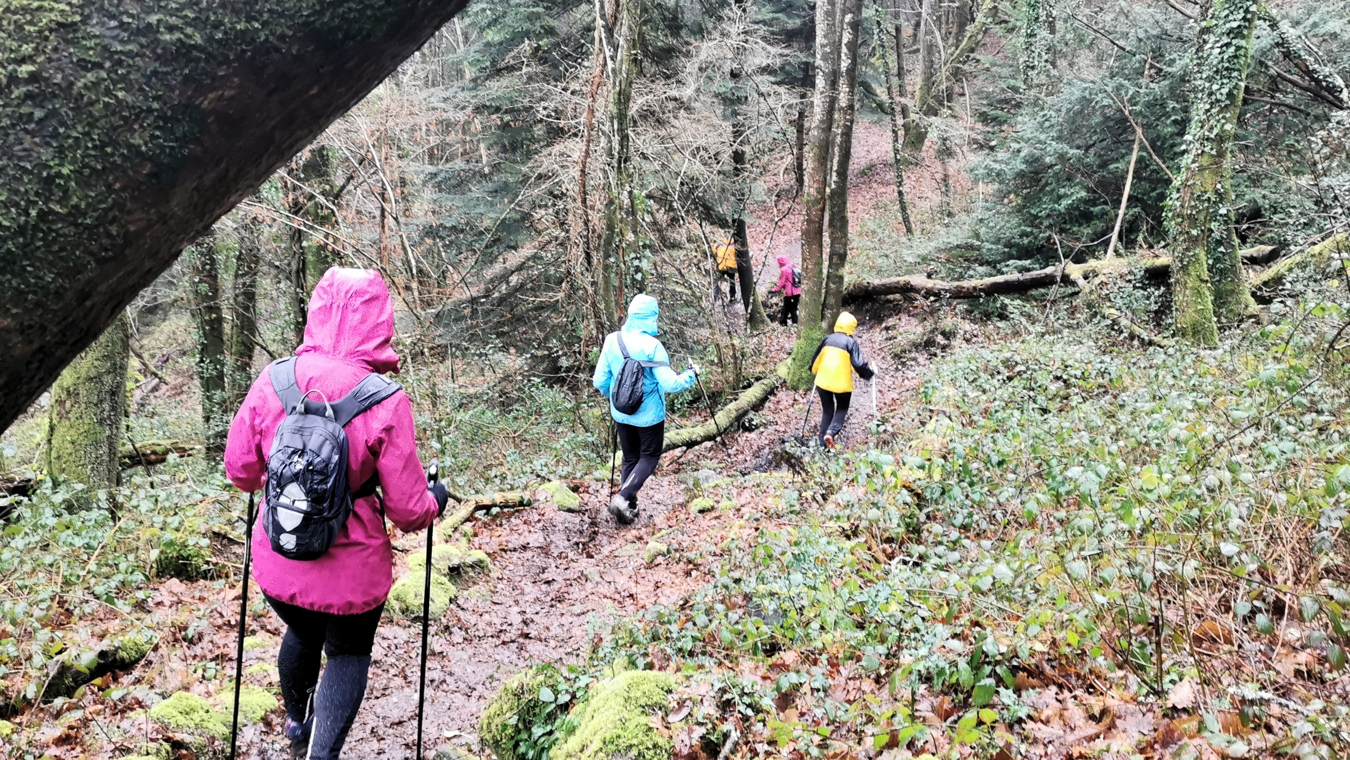 54-IMG_20210121_112327_1