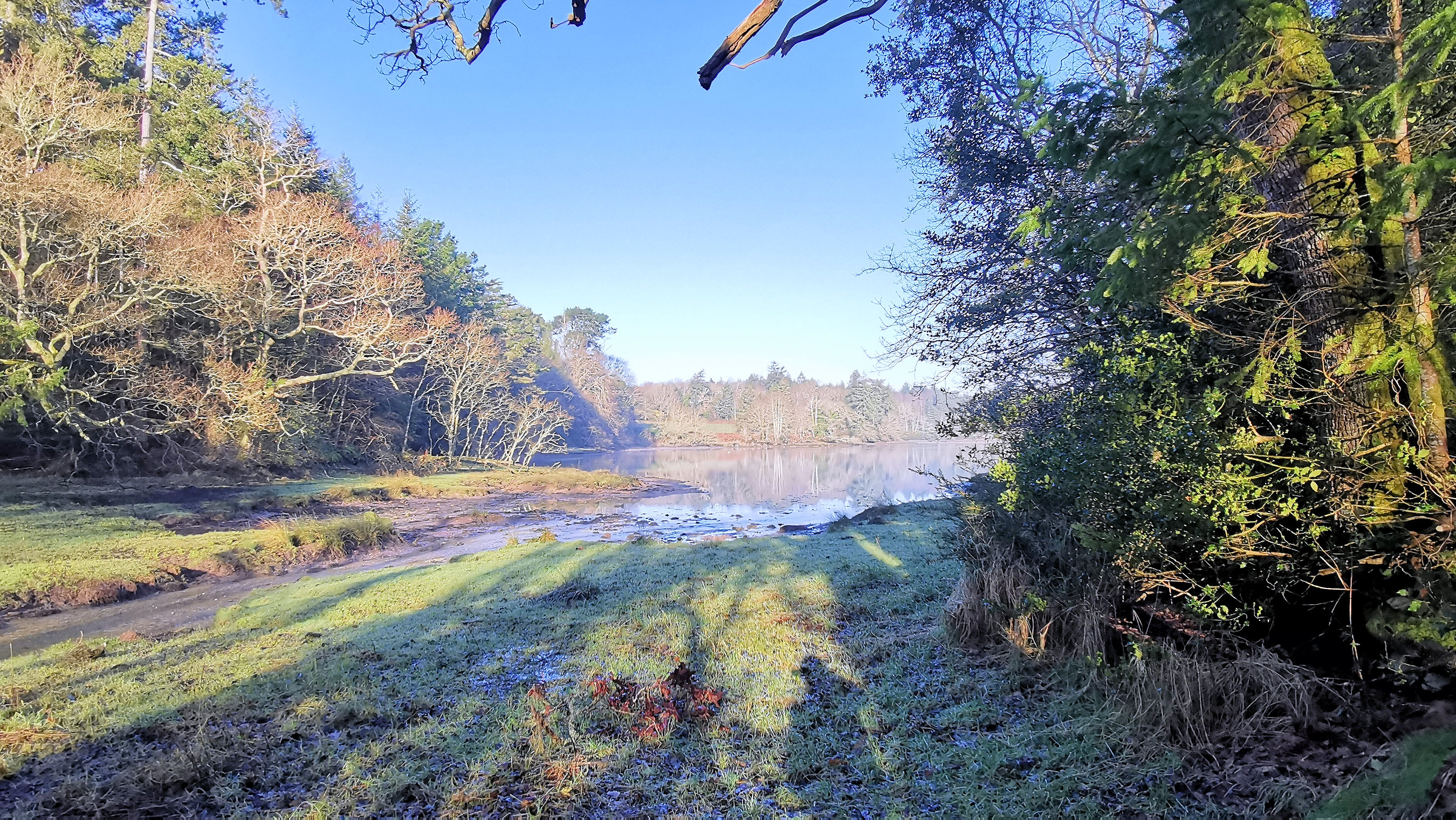 15-IMG_20210206_102945