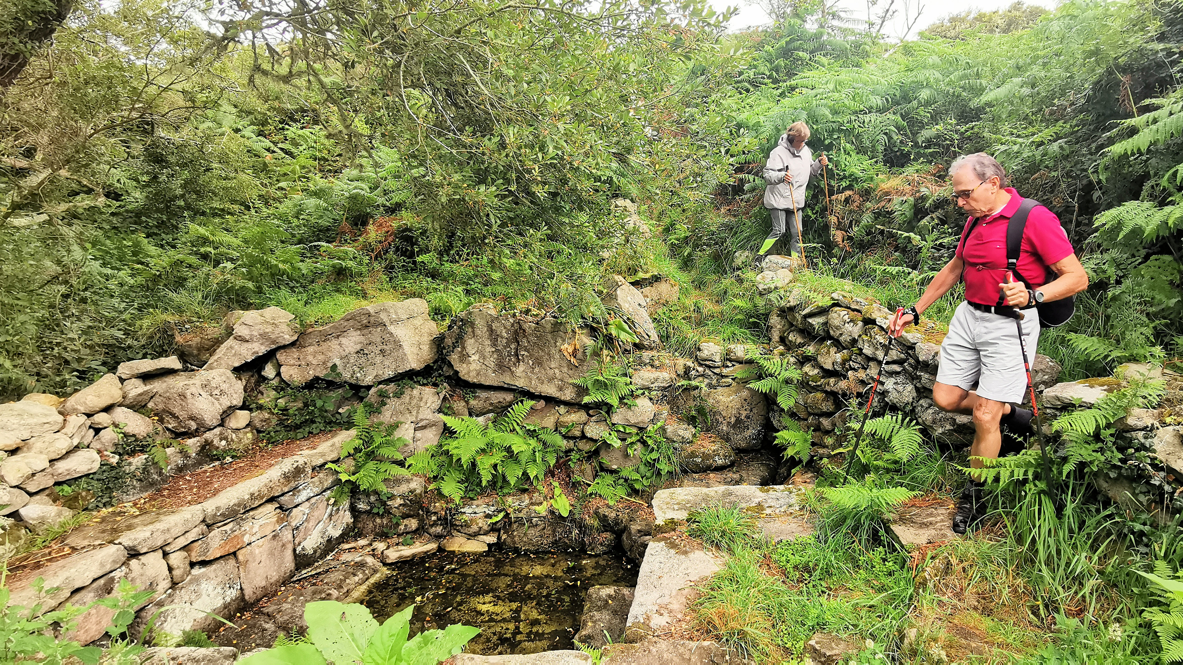 047-IMG_20210815_104151