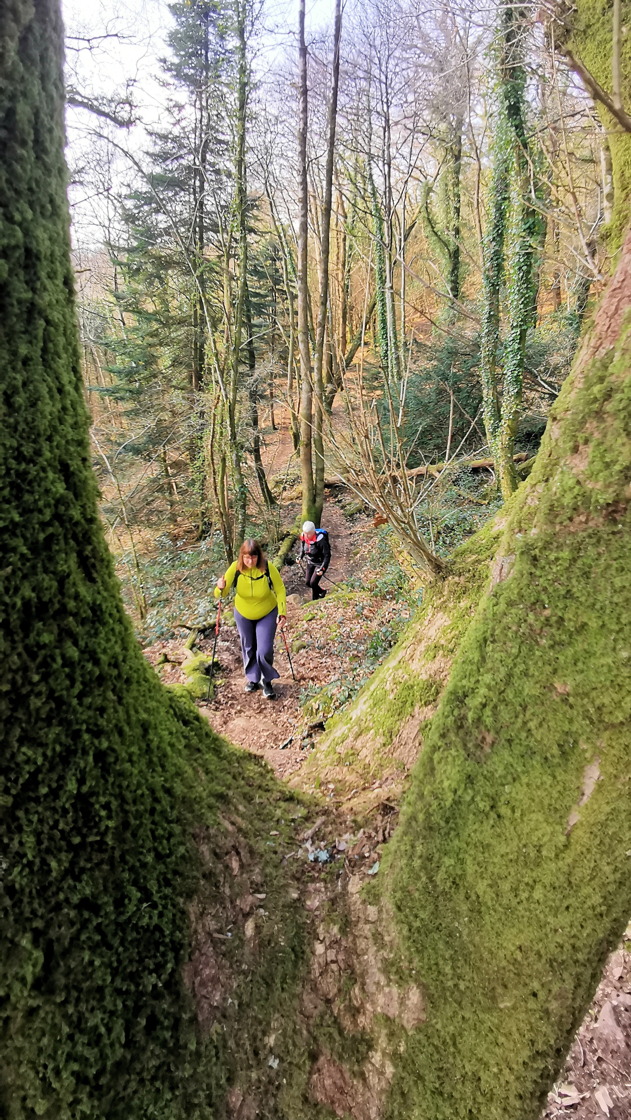 93-IMG_20210307_112440