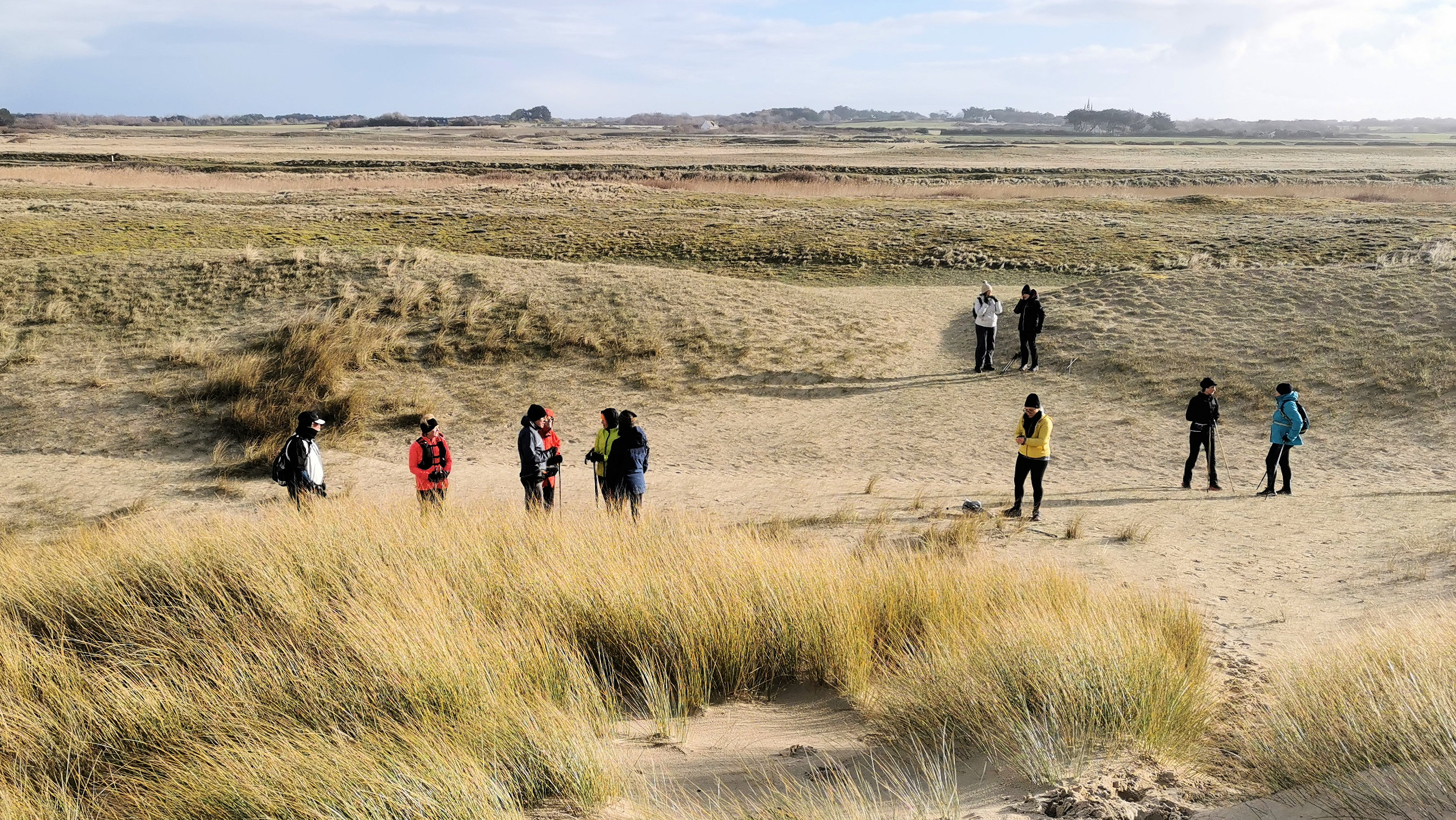 54-IMG_20210124_105220_1