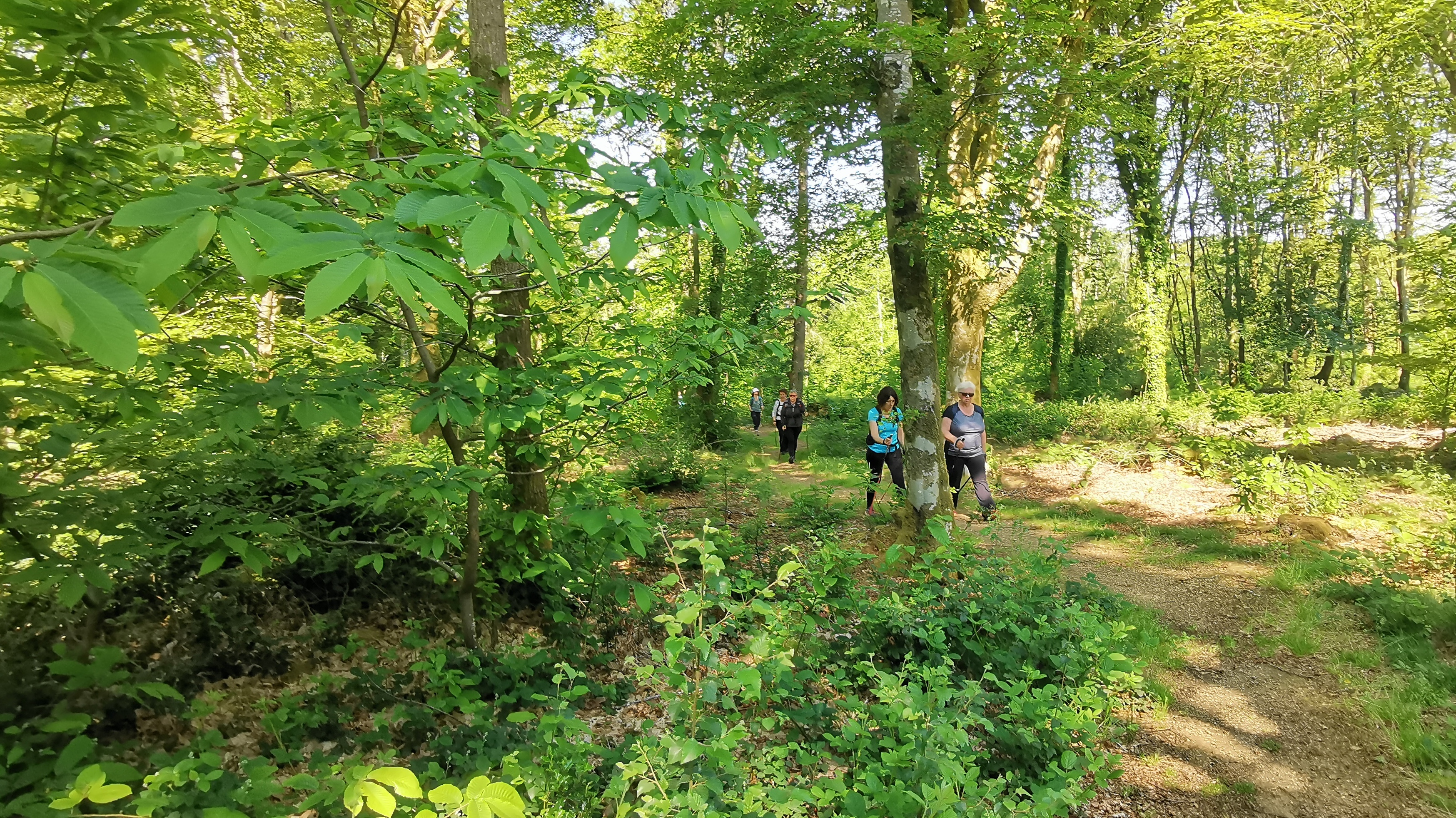 20-IMG_20210531_103750