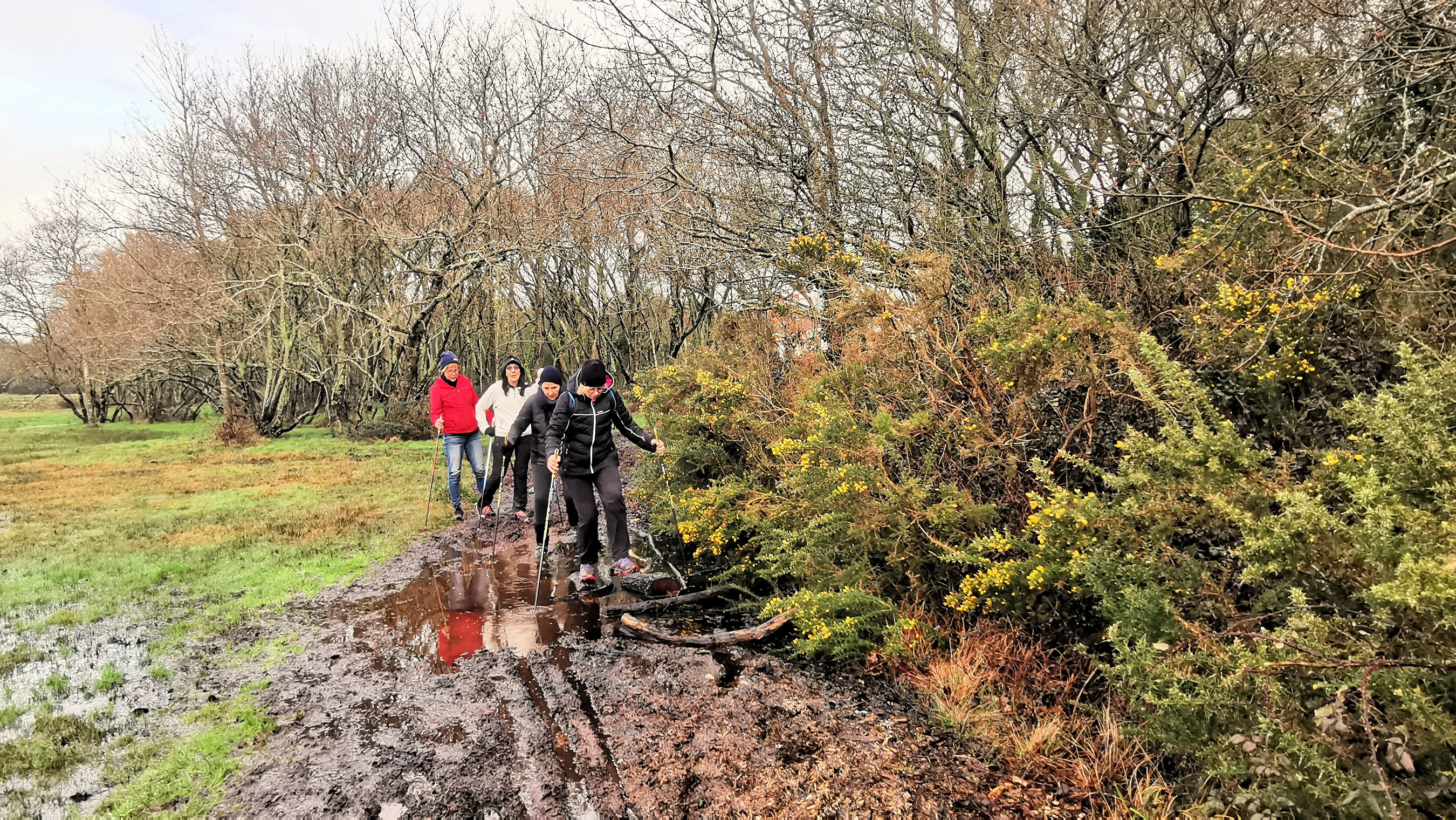 09-IMG_20210131_100412