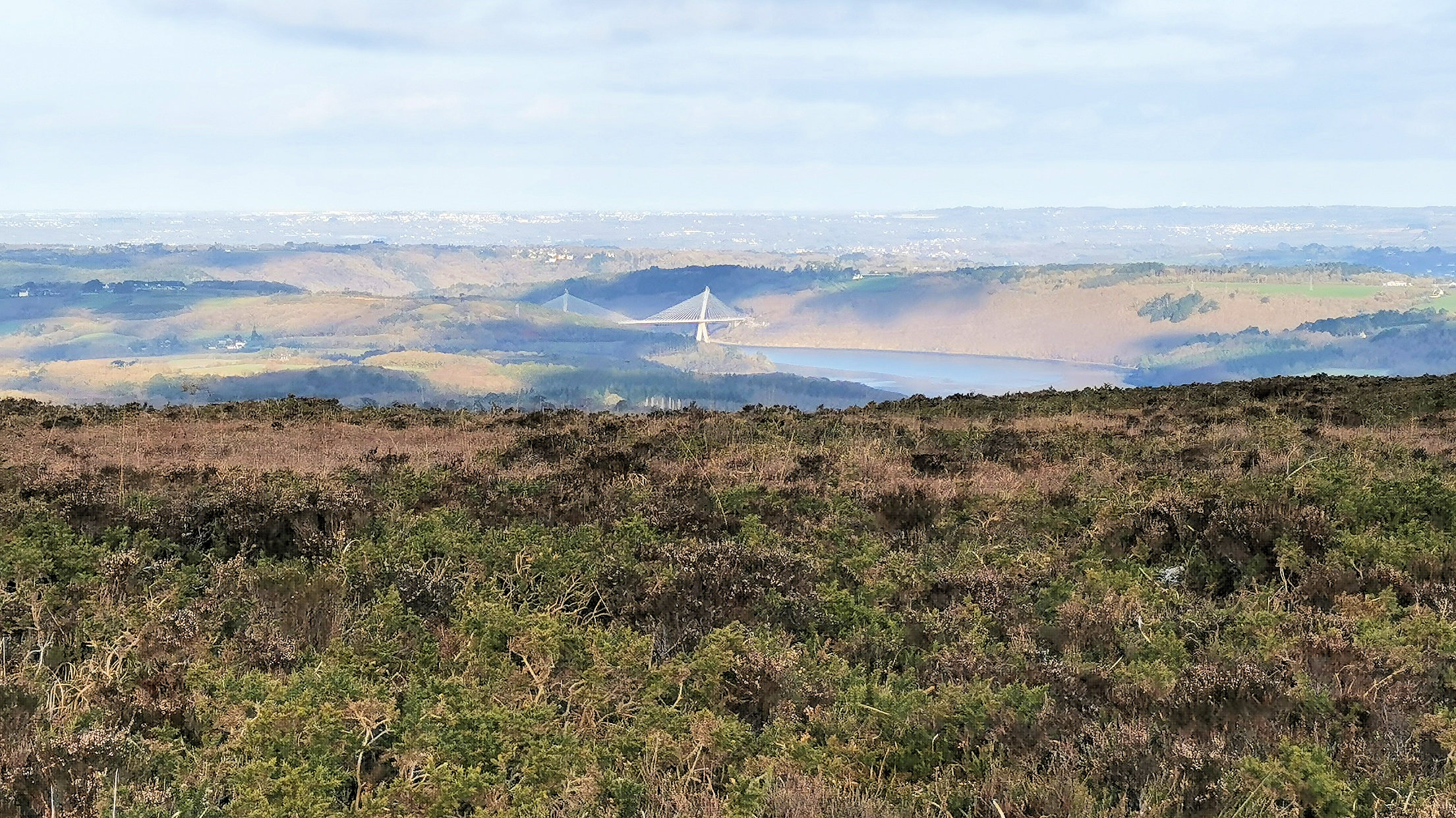 106-IMG_20210110_110522