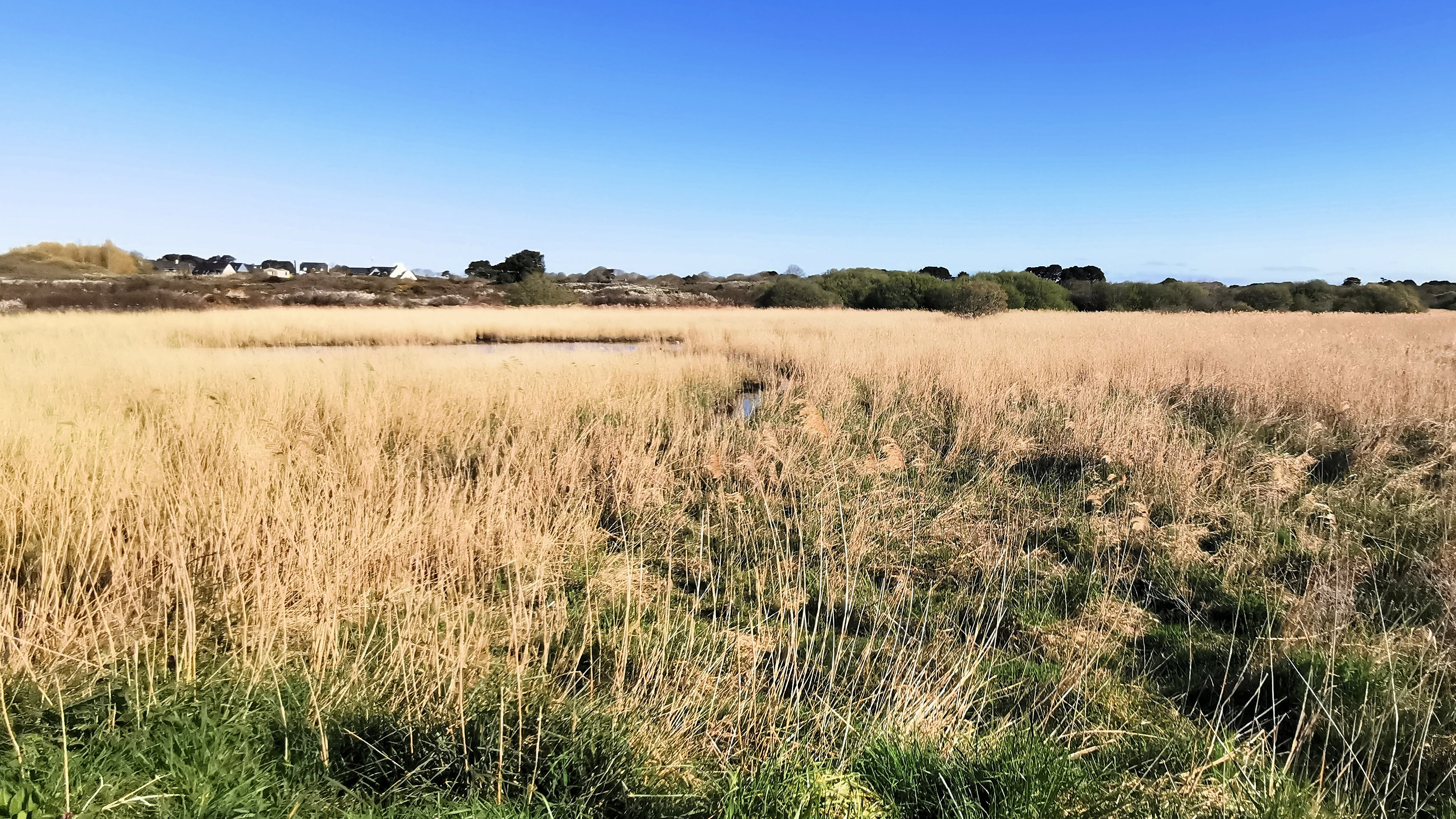 19-IMG_20210403_102847