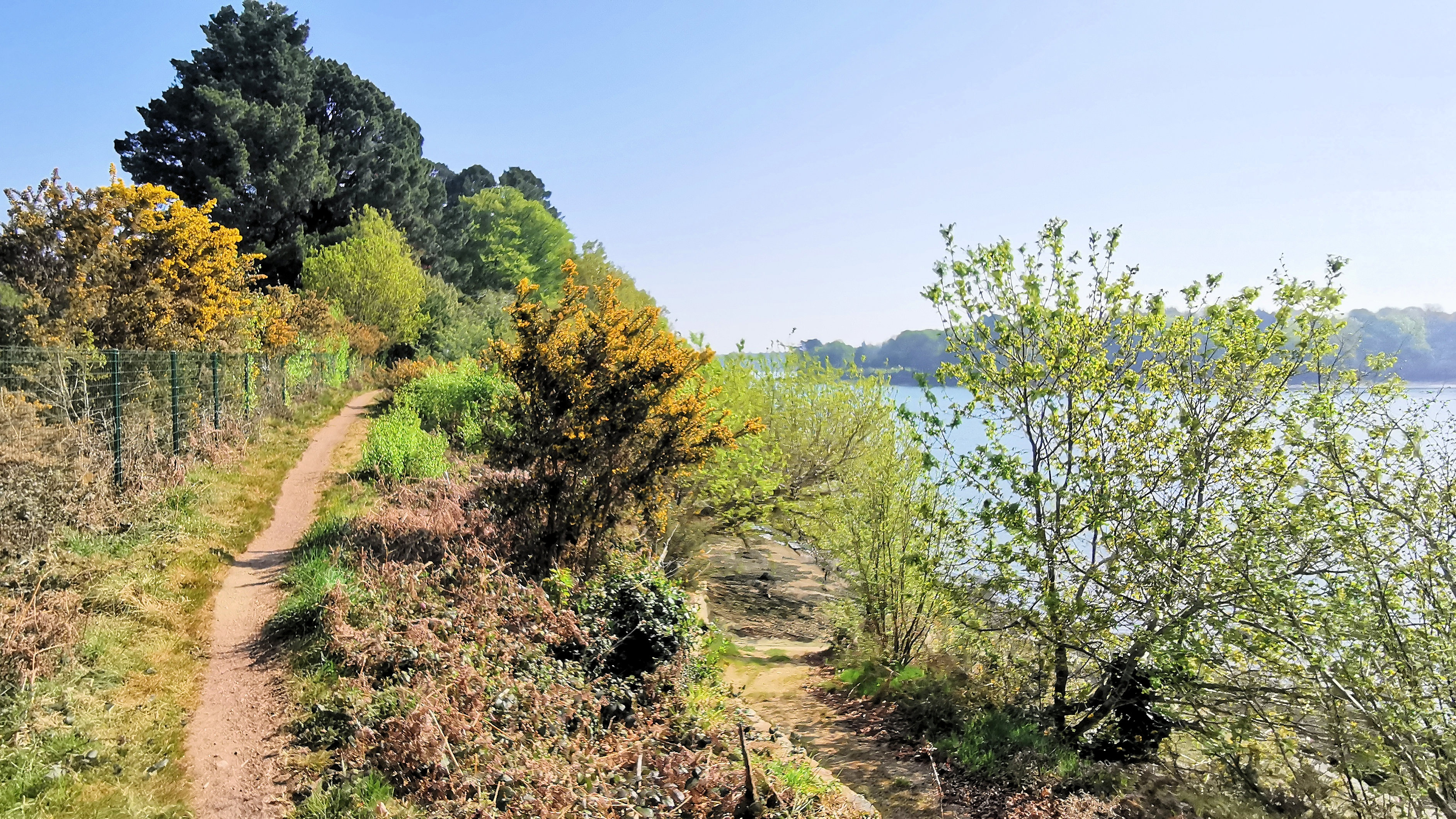 56-IMG_20210422_111411