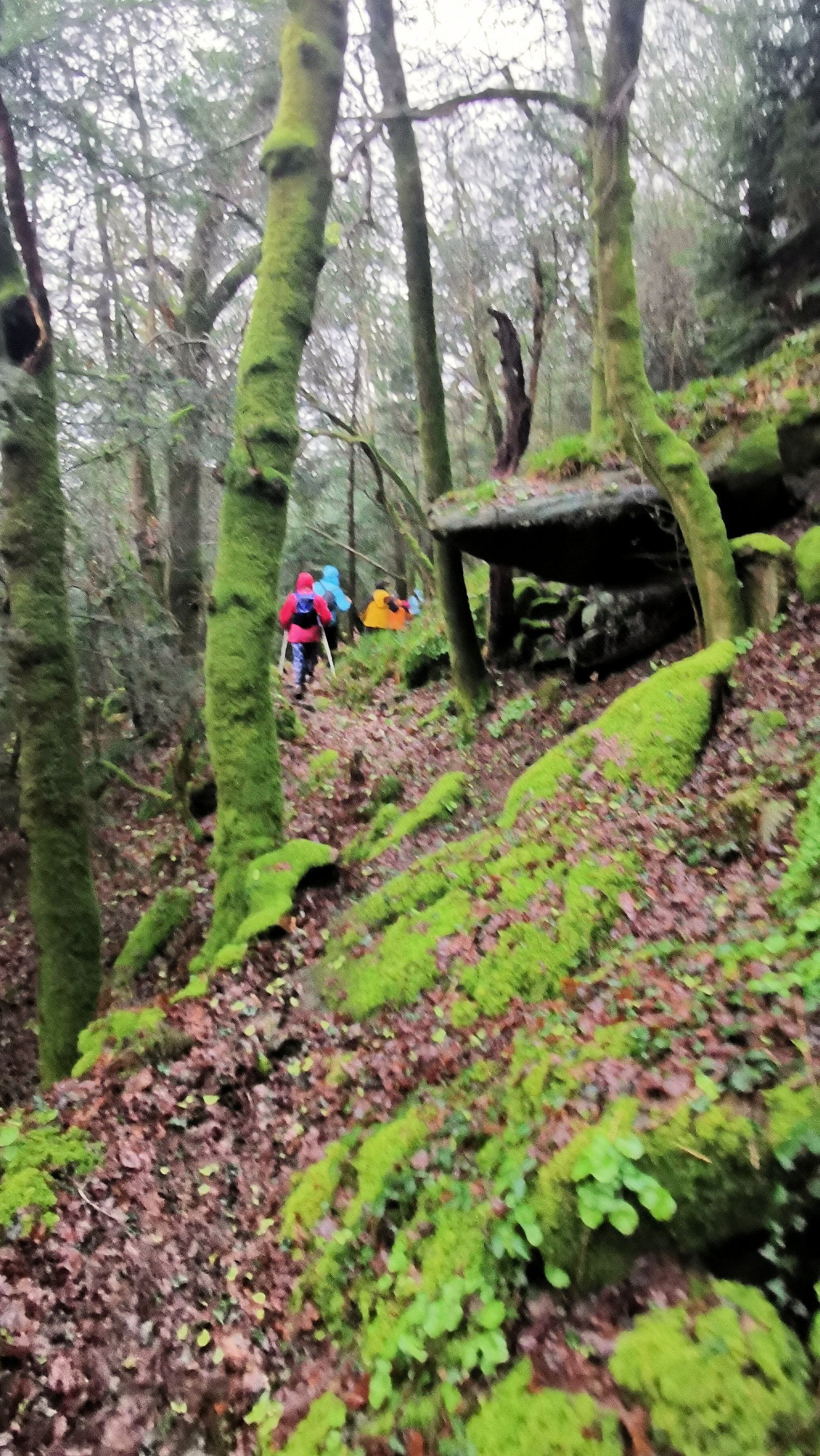 80-IMG_20210121_114210