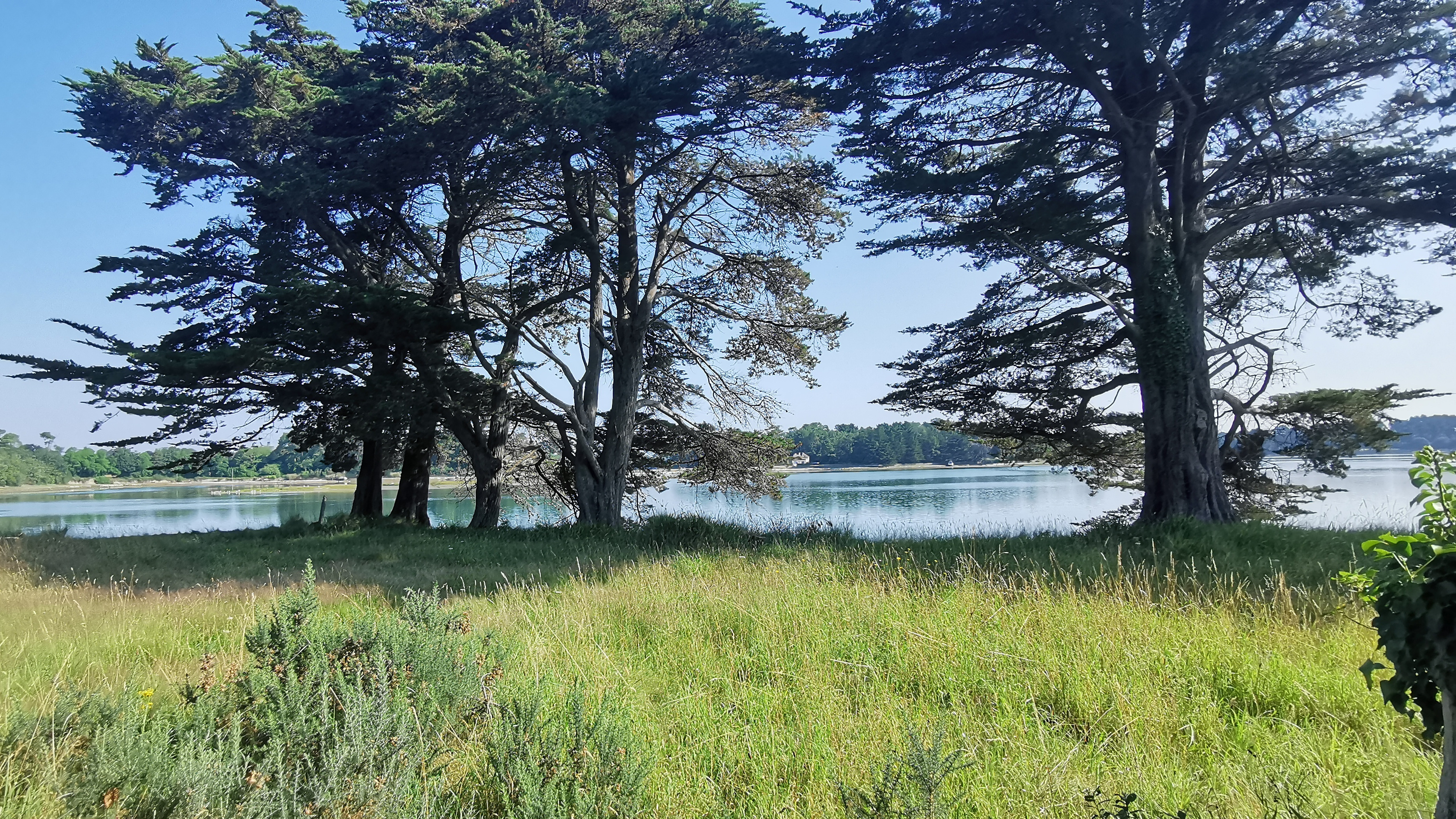 053-IMG_20210718_103210