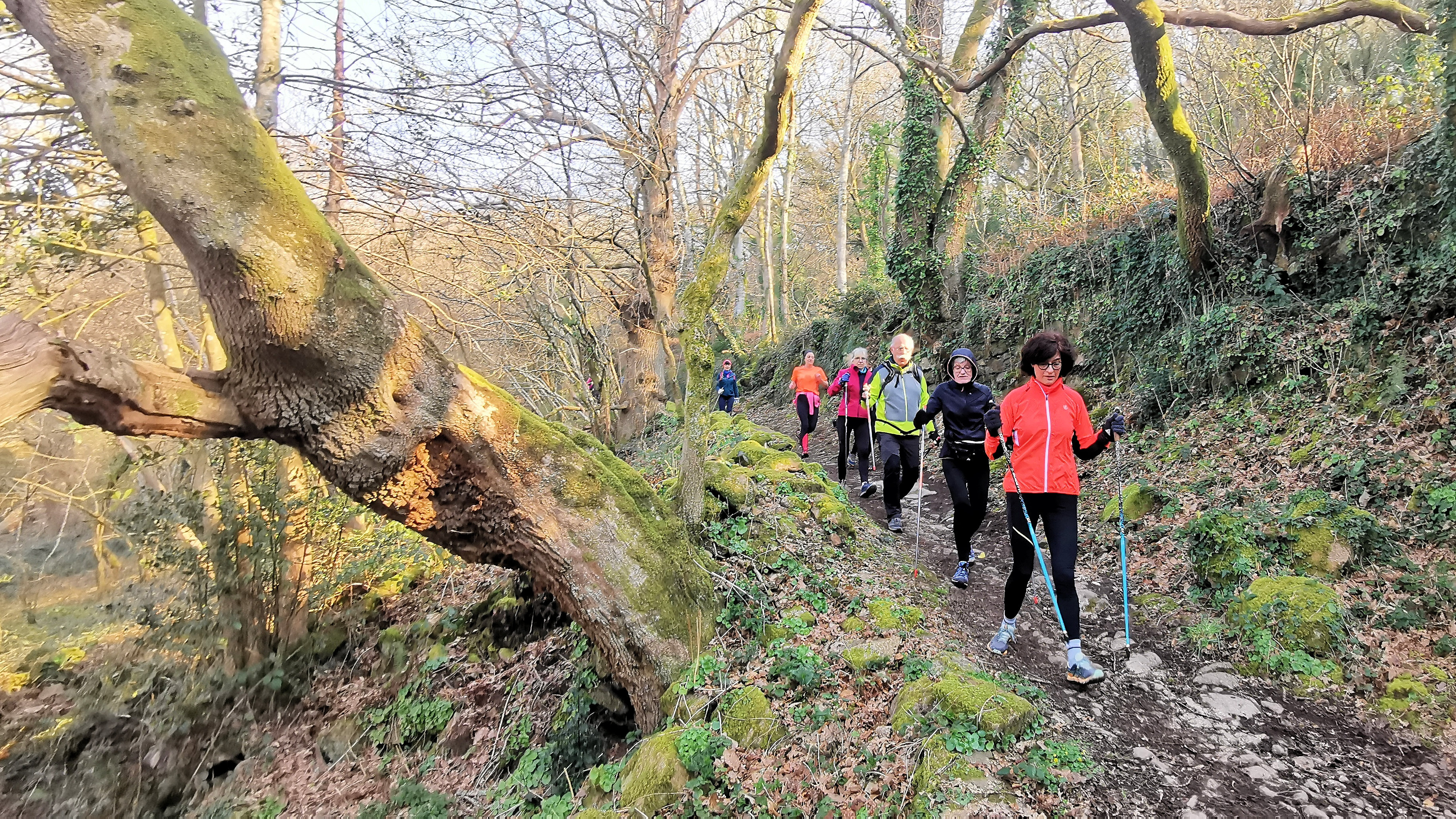 47-IMG_20210307_103757