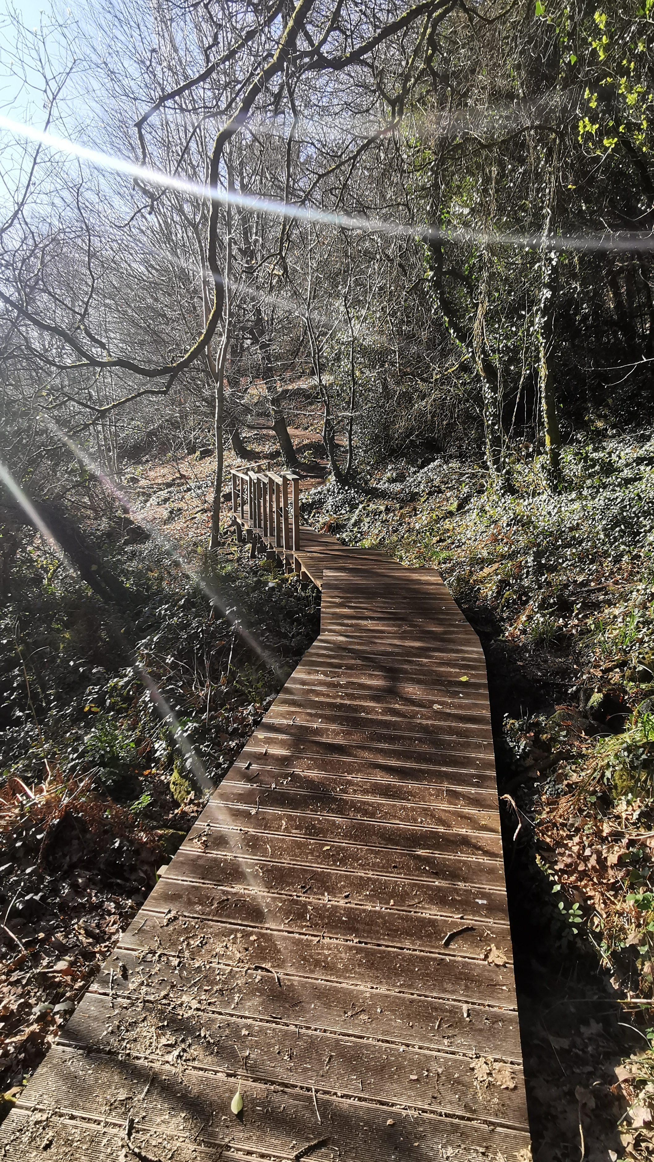 13-IMG_20210320_101127