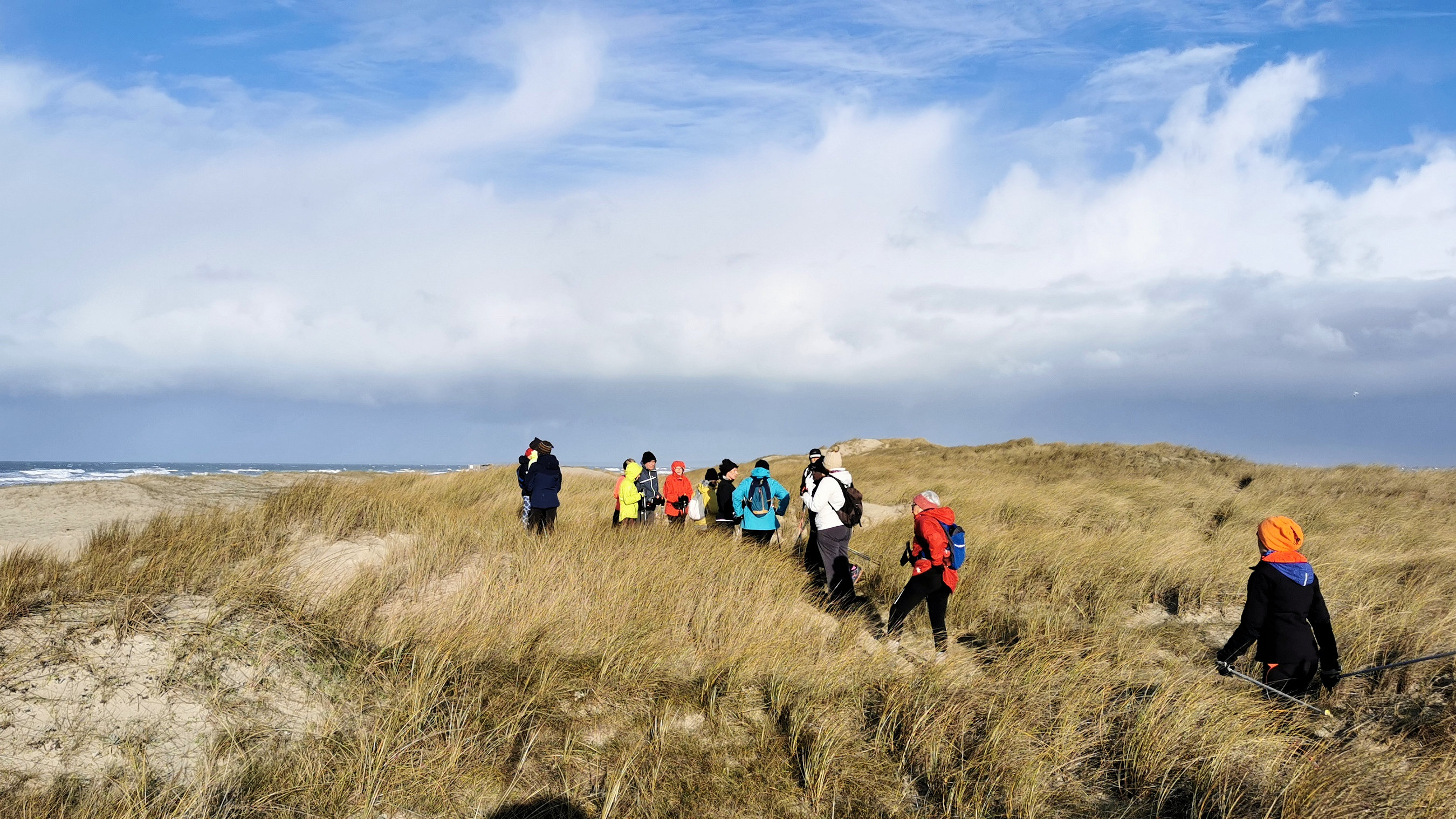 45-IMG_20210124_104547_1