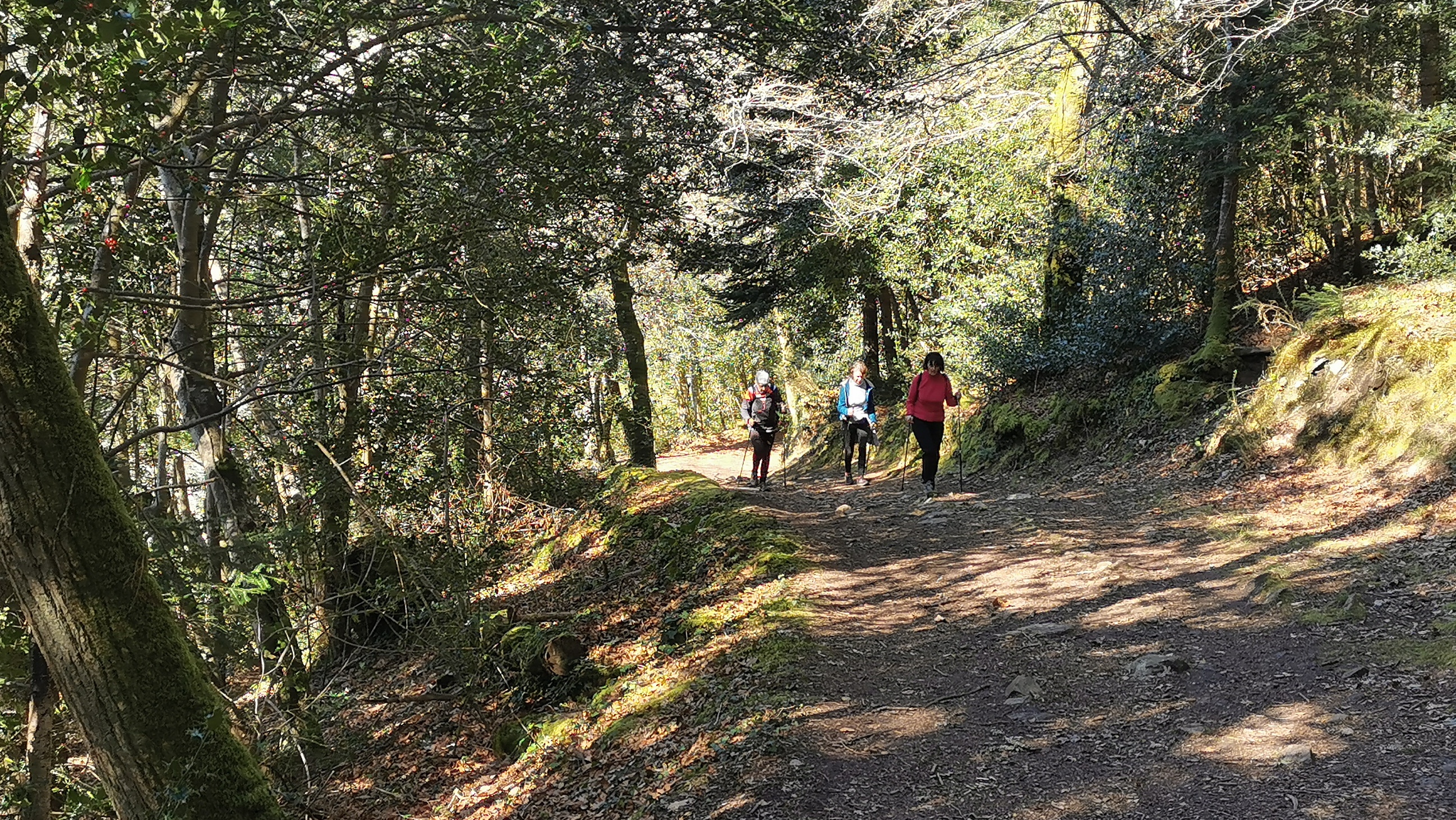 56-IMG_20210320_114438_1