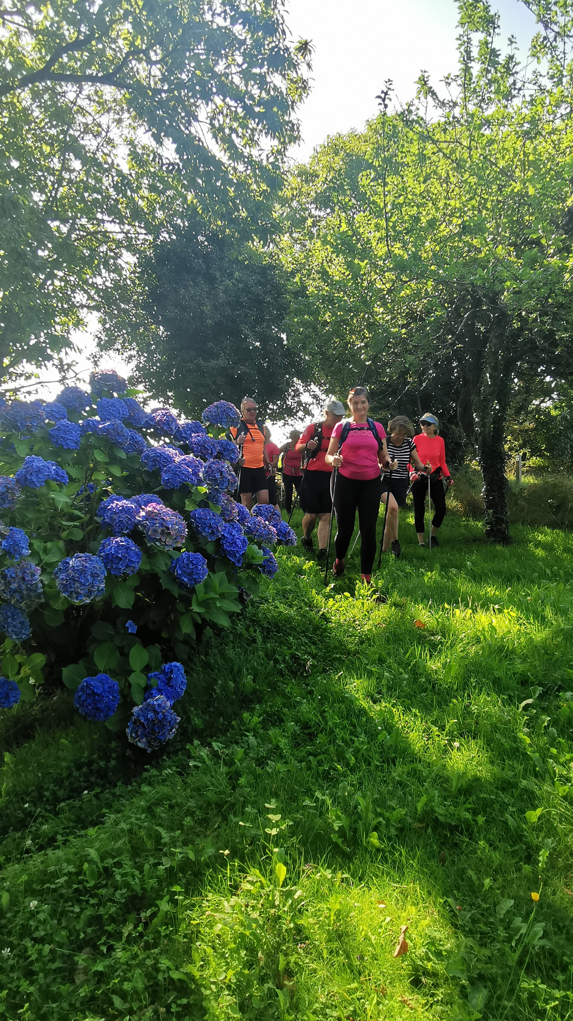 27-IMG_20210812_111500