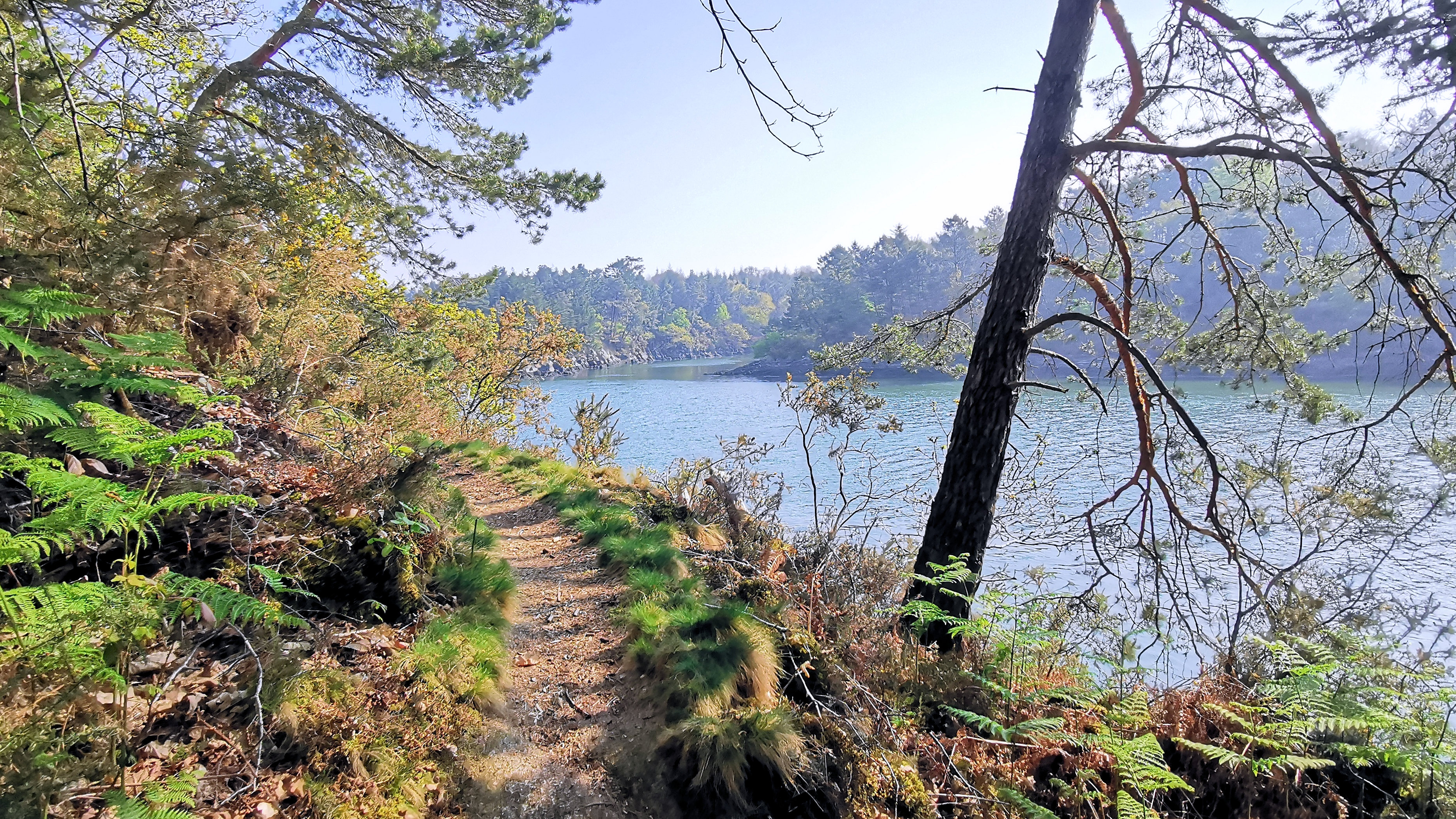 21-IMG_20210422_105108