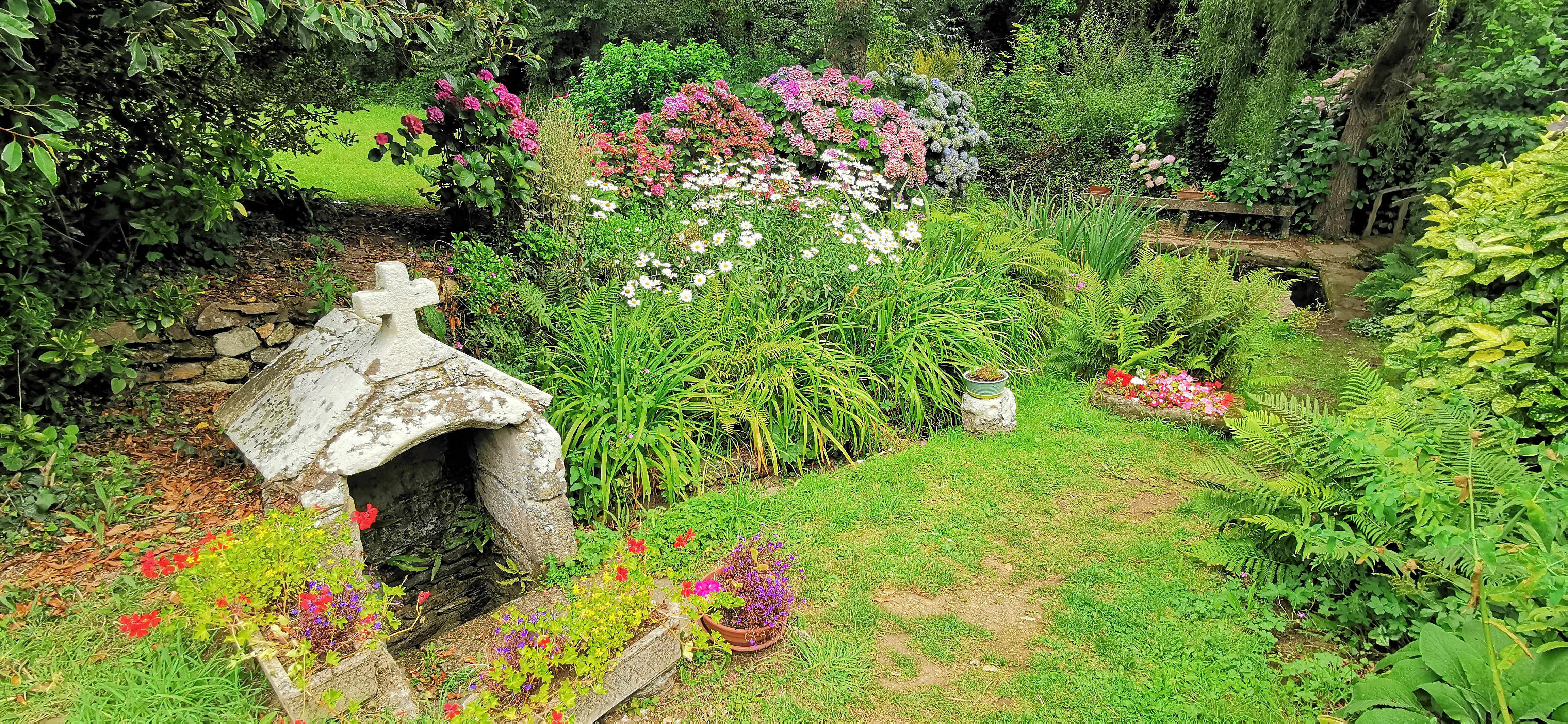 240-IMG_20210815_144043