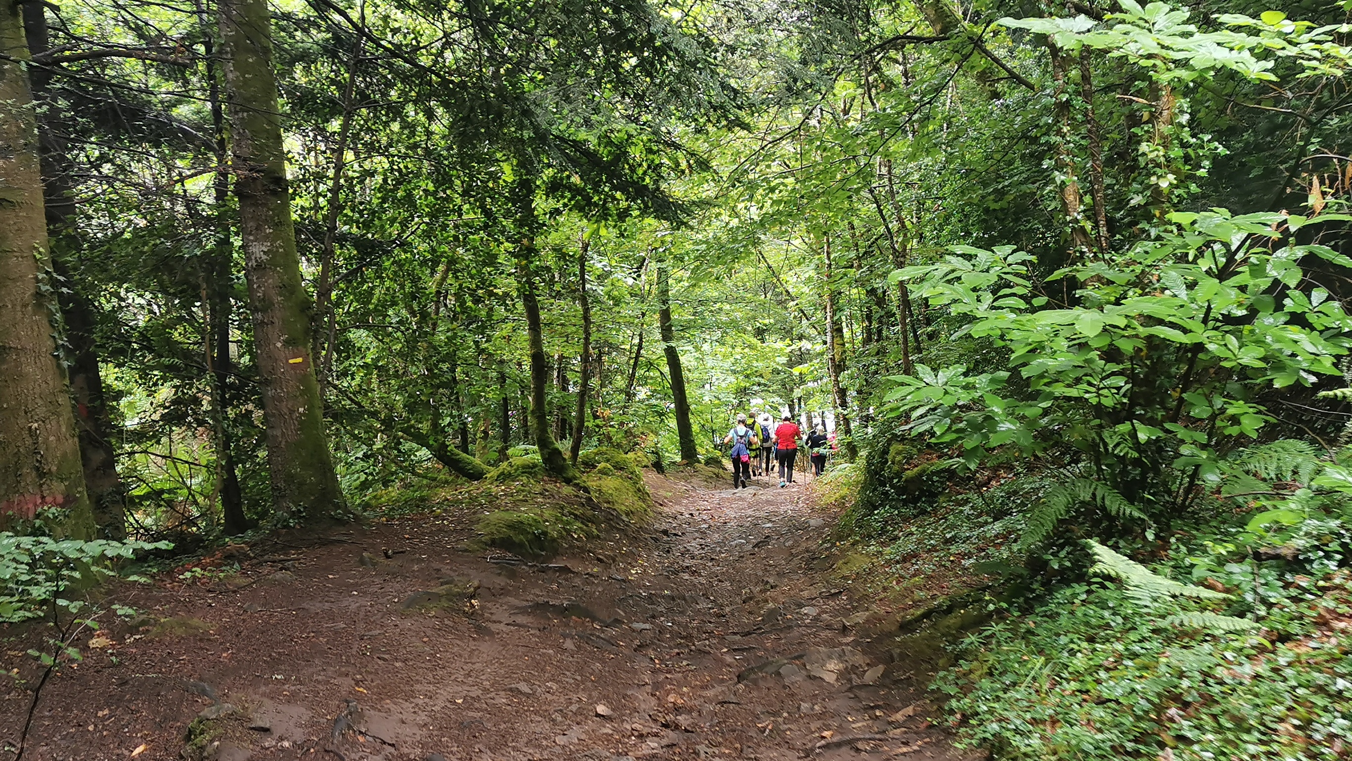 04-IMG_20210617_094947