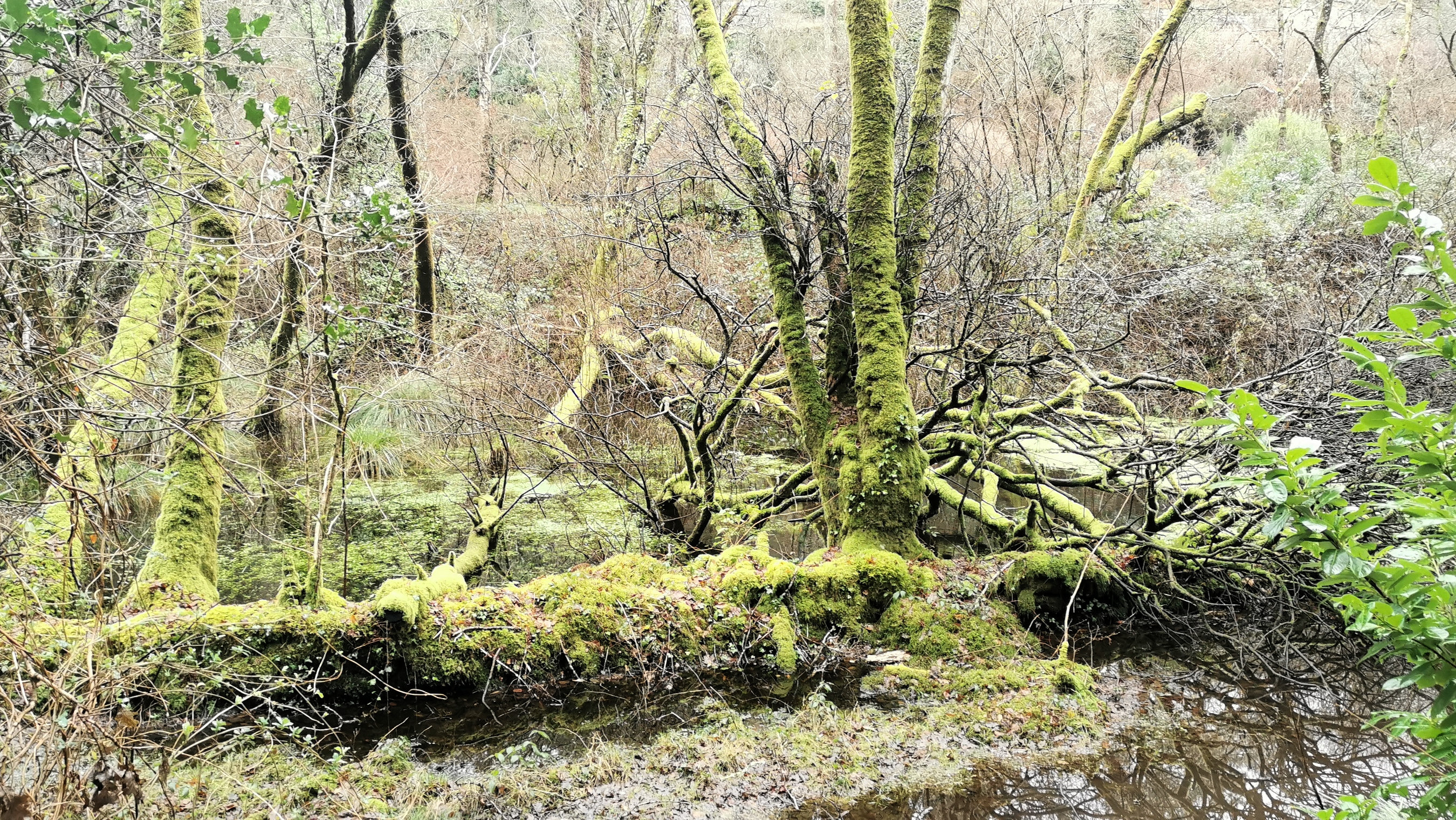 14-IMG_20210119_110048