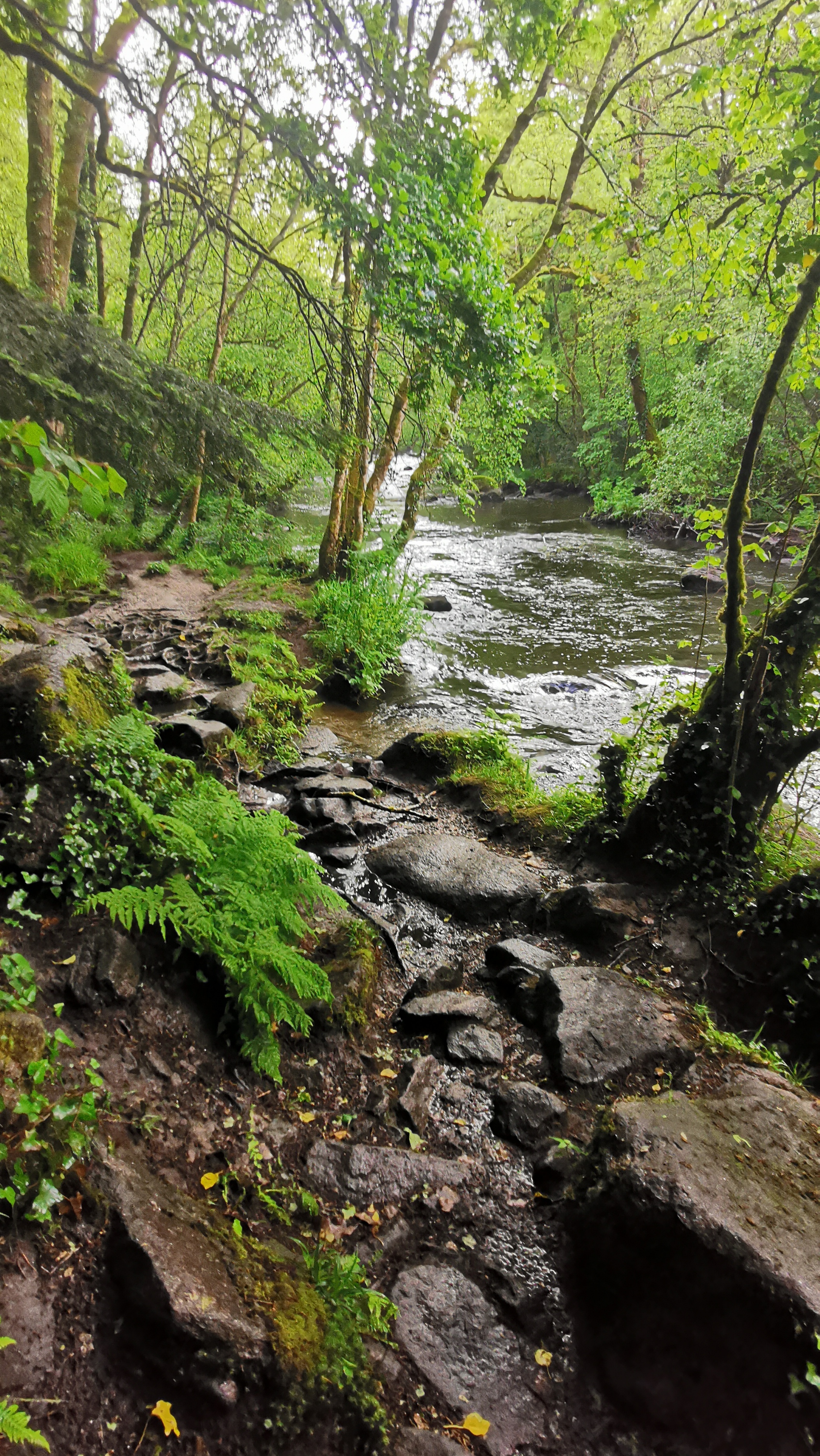 046-IMG_20210513_102628