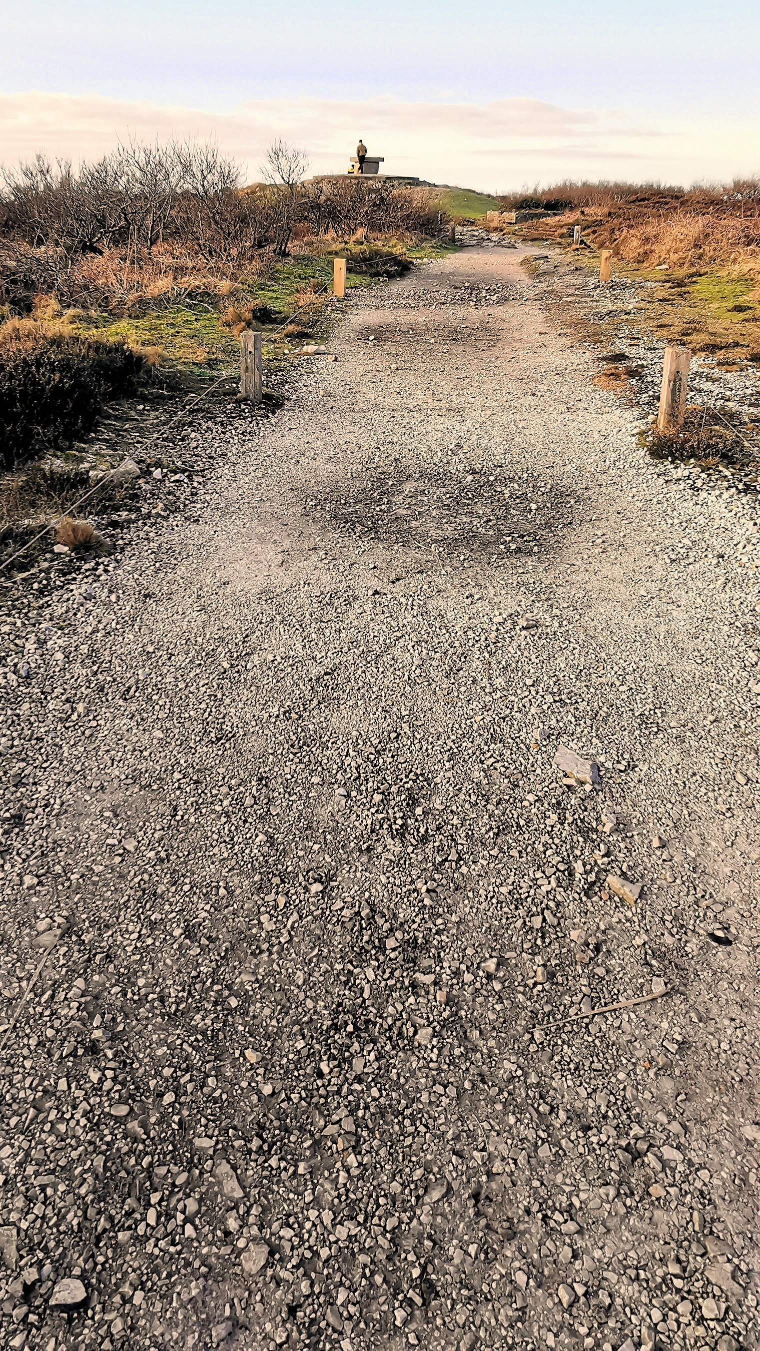 122-IMG_20210110_111734