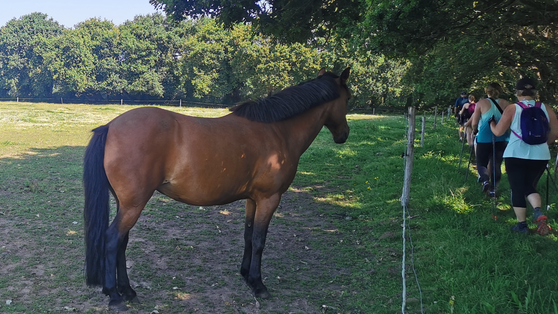 106-IMG_20210718_113816