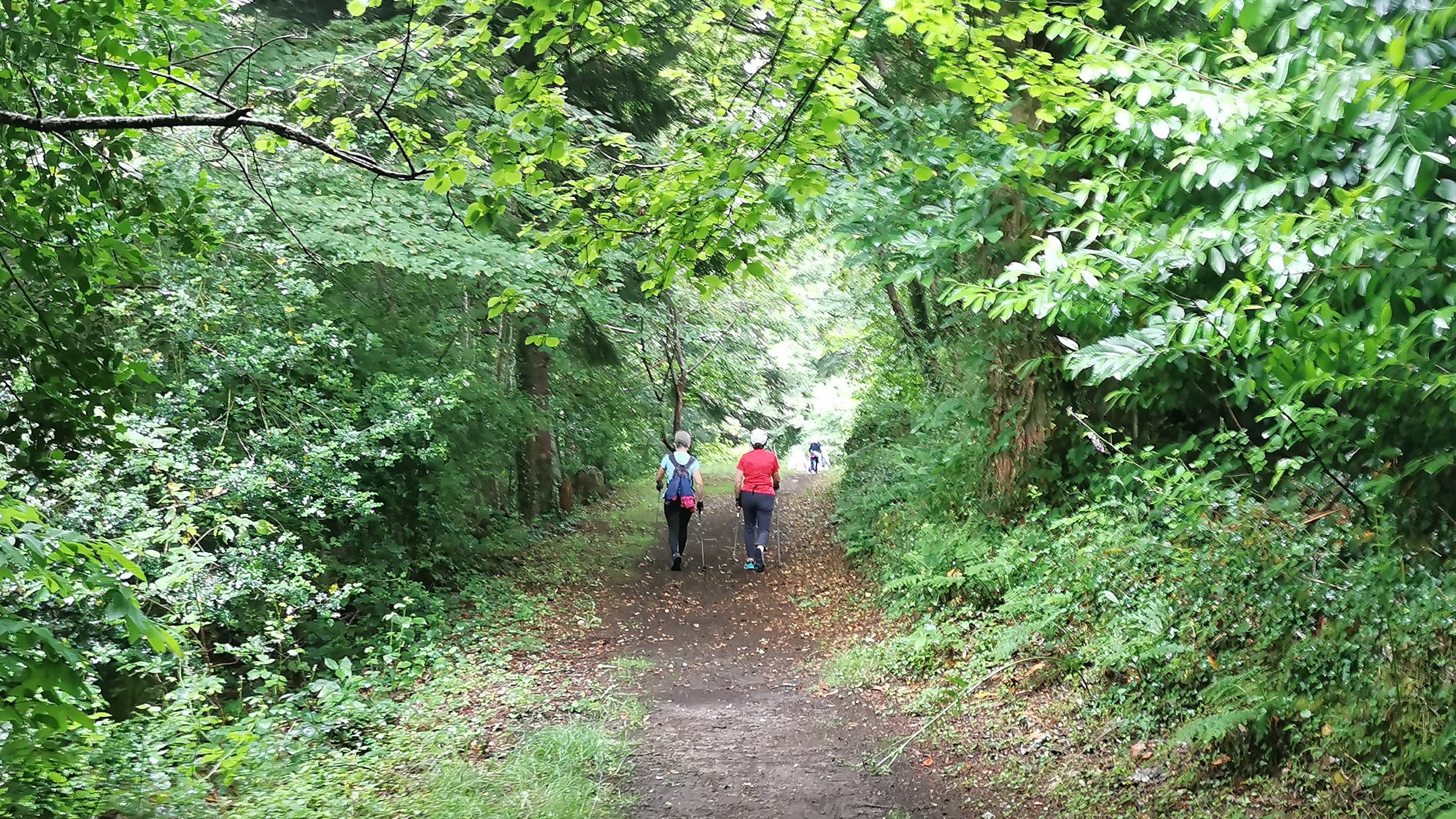 03-IMG_20210617_094345