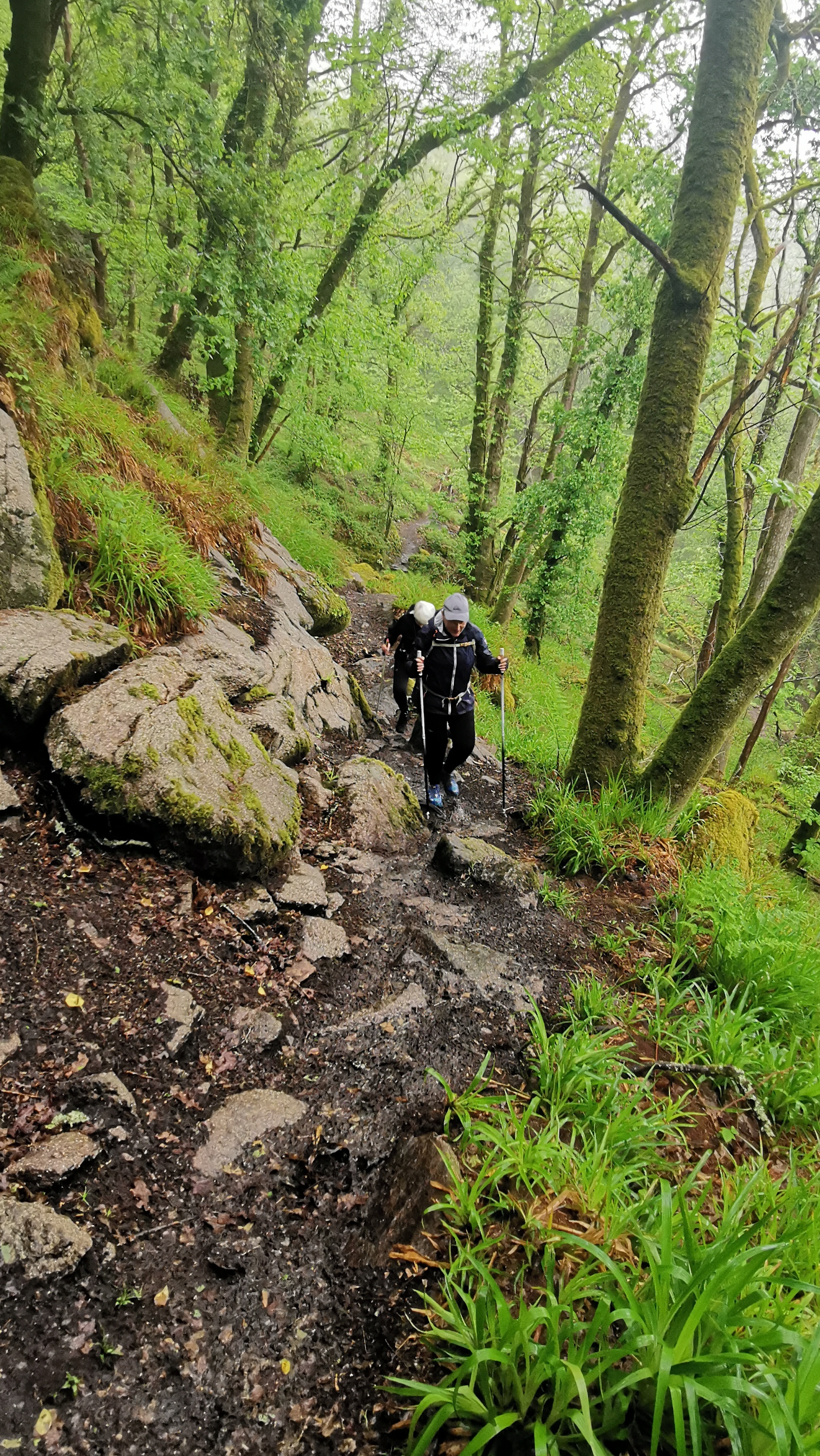 008-IMG_20210513_094234