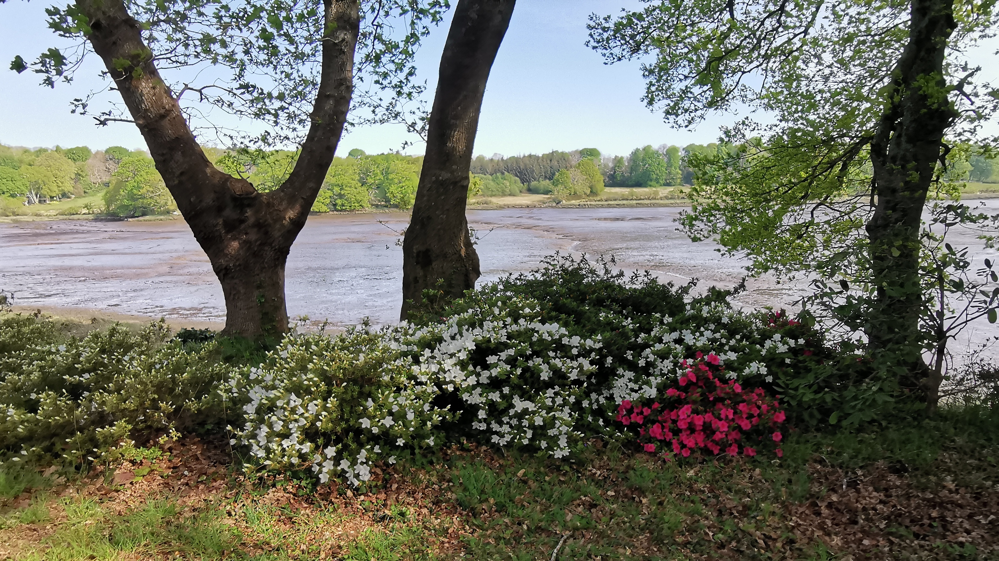 80-IMG_20210425_112047