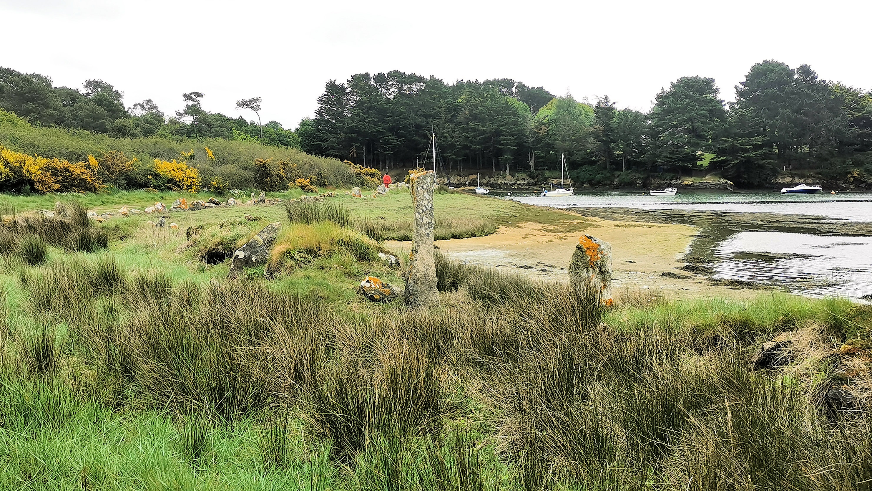 32-IMG_20210520_101039