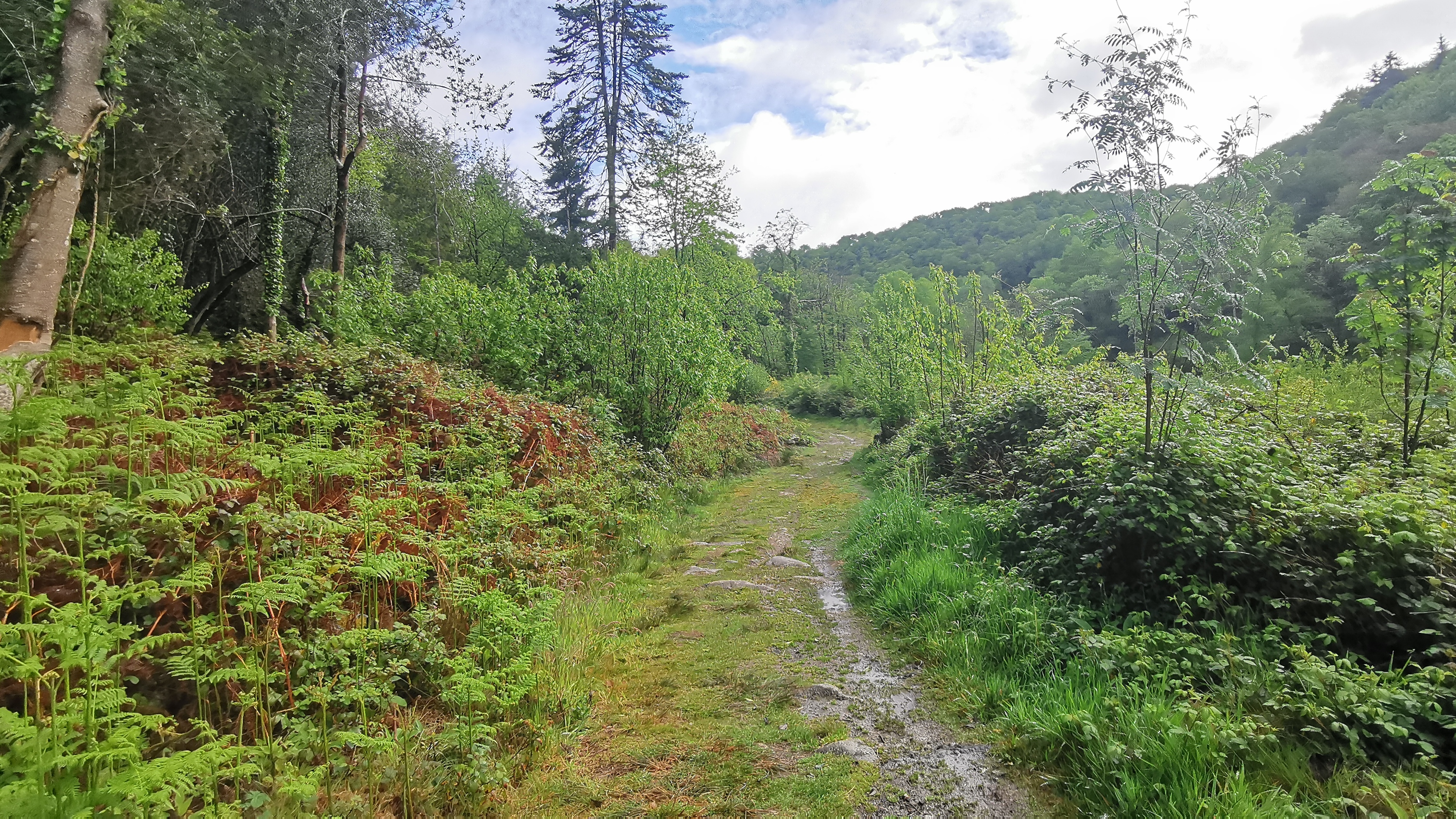 027-IMG_20210513_101229